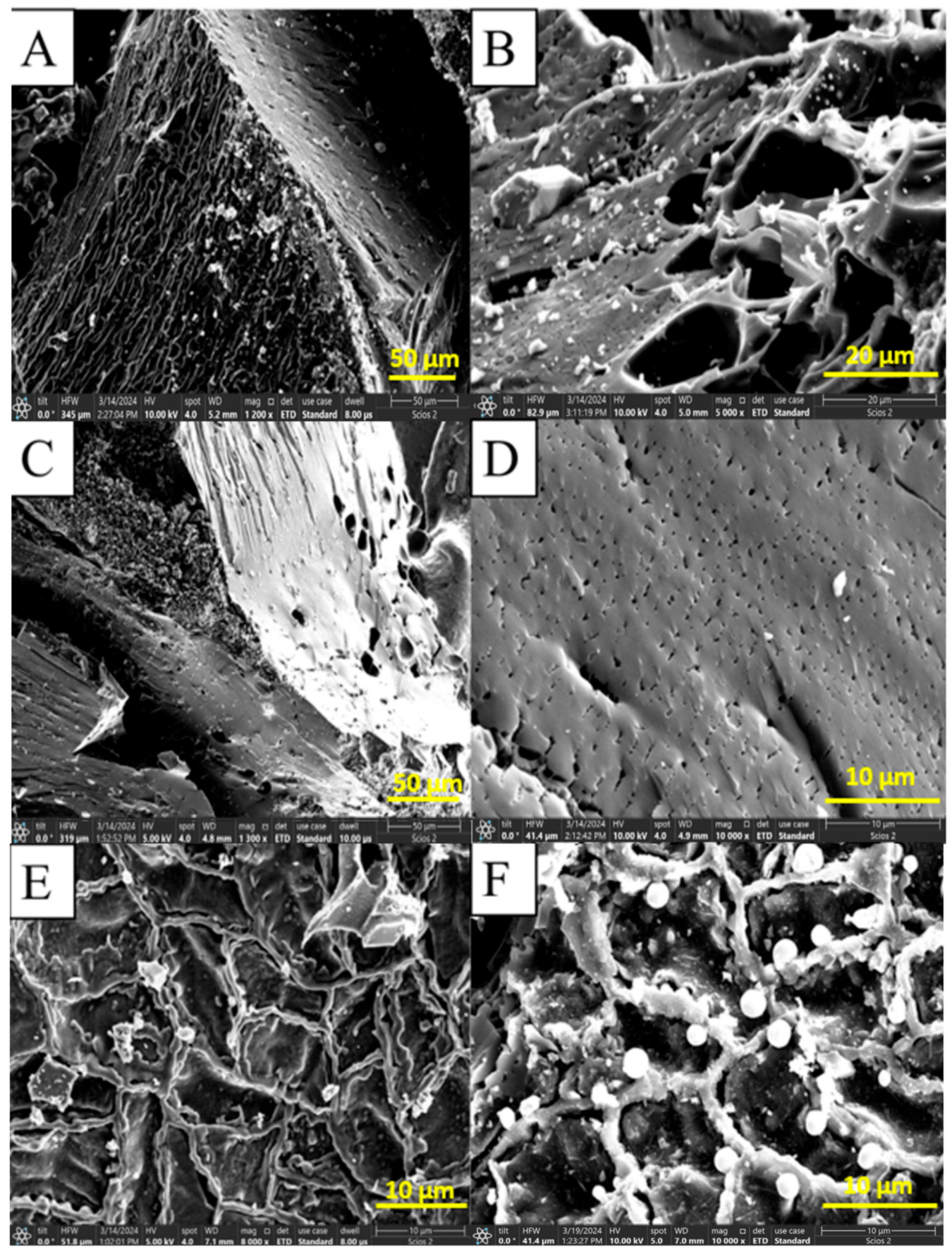 Molecules 30 04505 g010