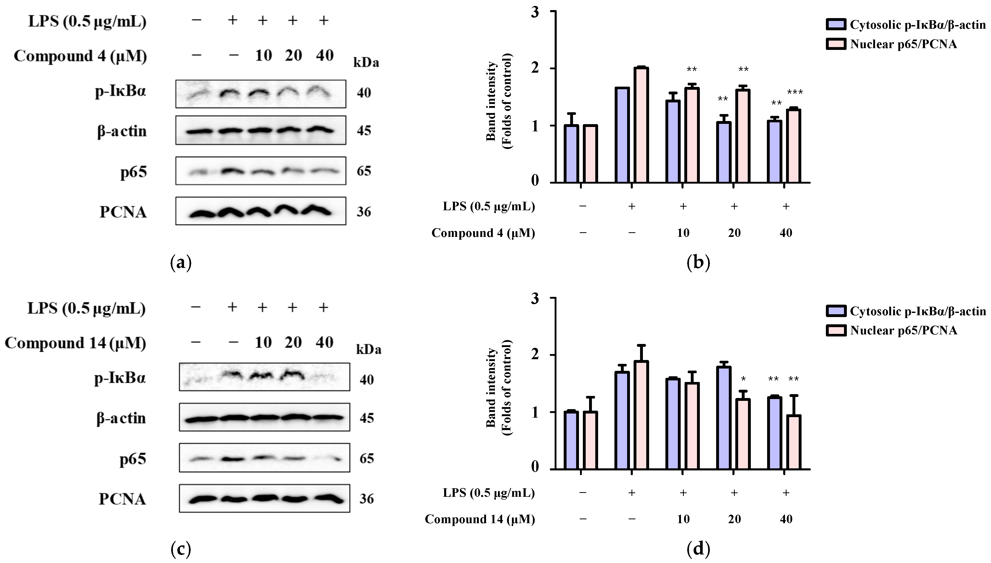 Molecules 30 04514 g010