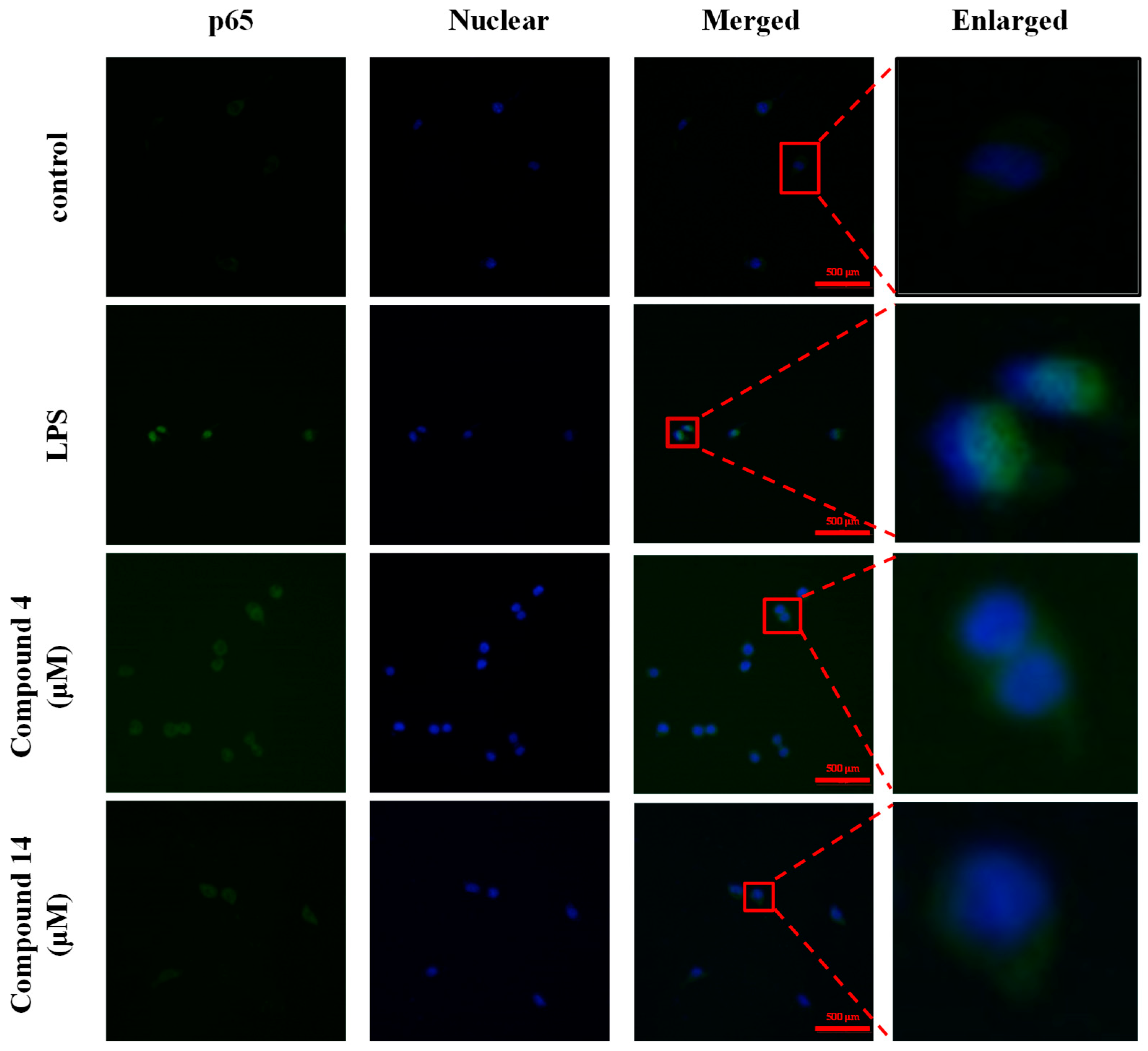 Molecules 30 04514 g011