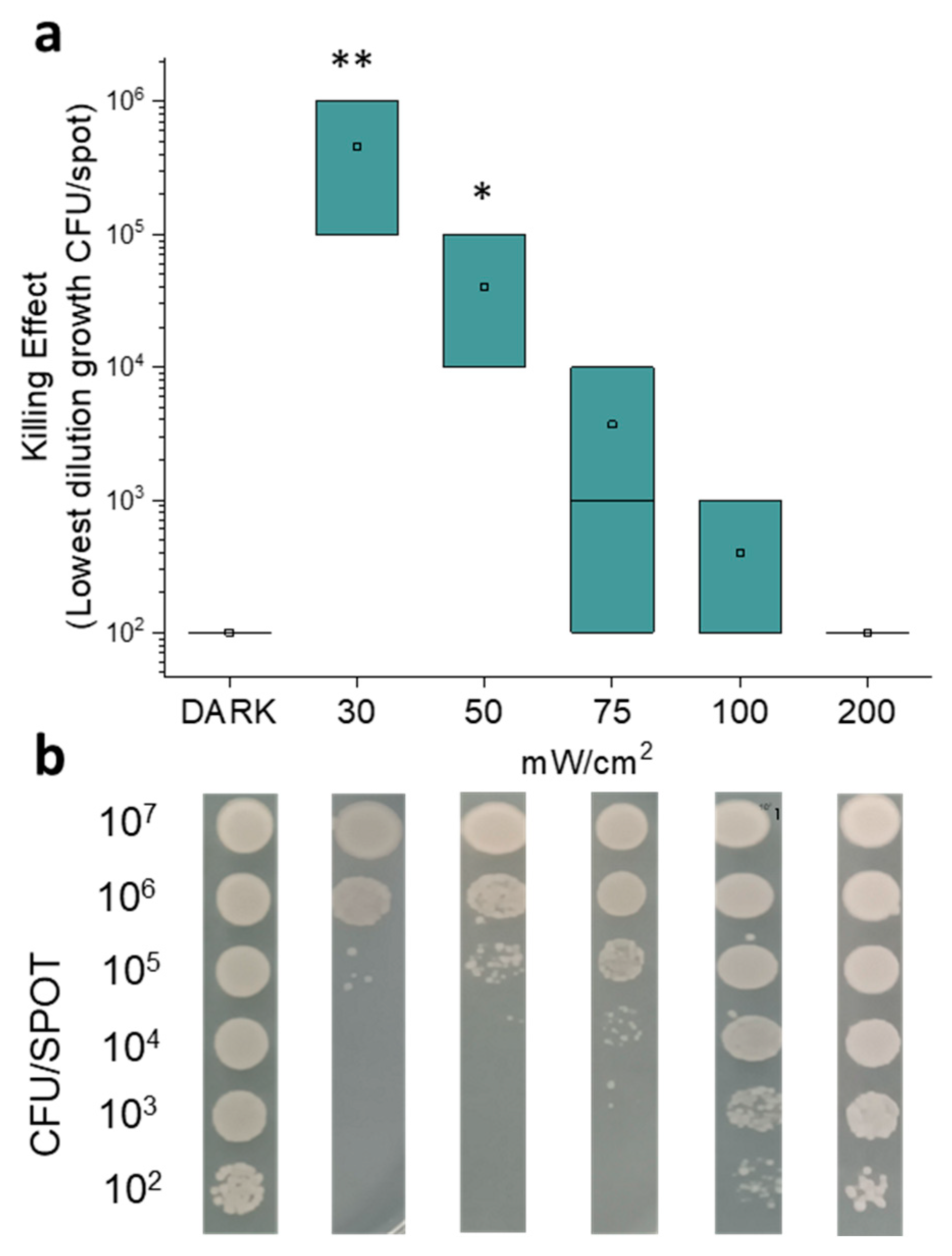 Molecules 30 04515 g001