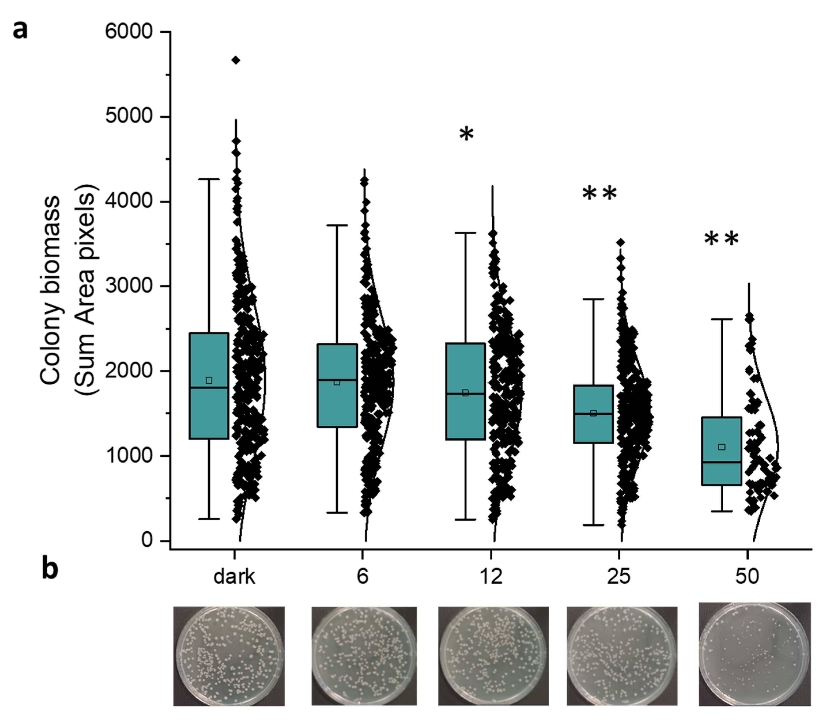 Molecules 30 04515 g004