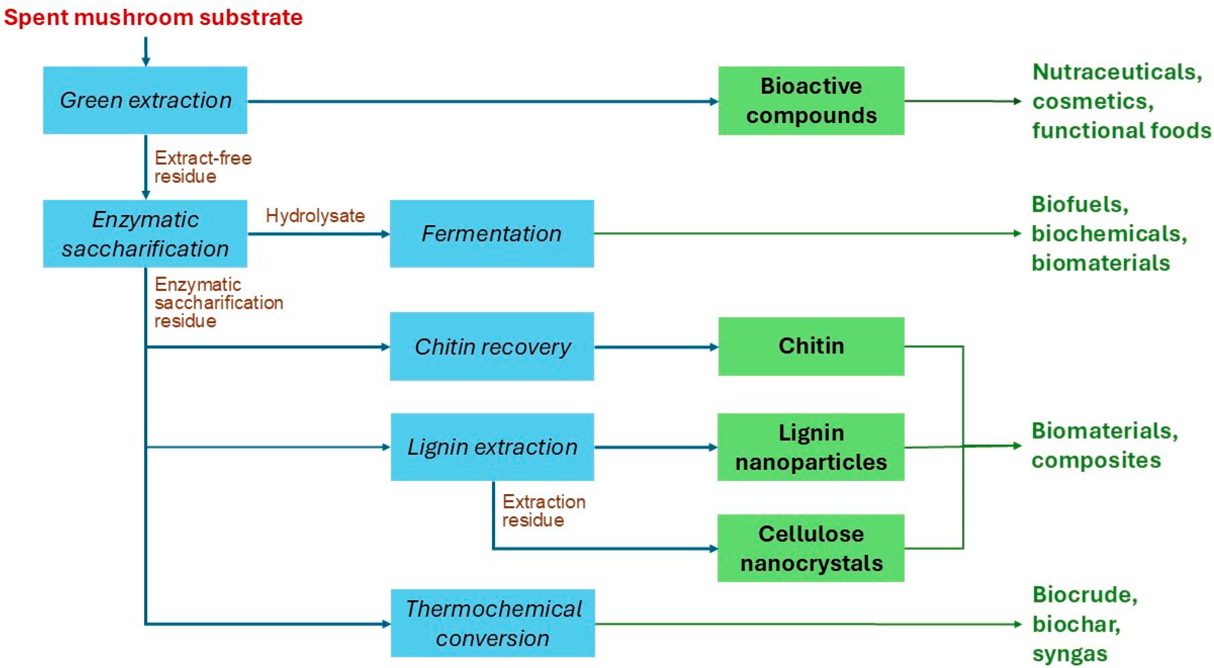 Molecules 30 04518 g001