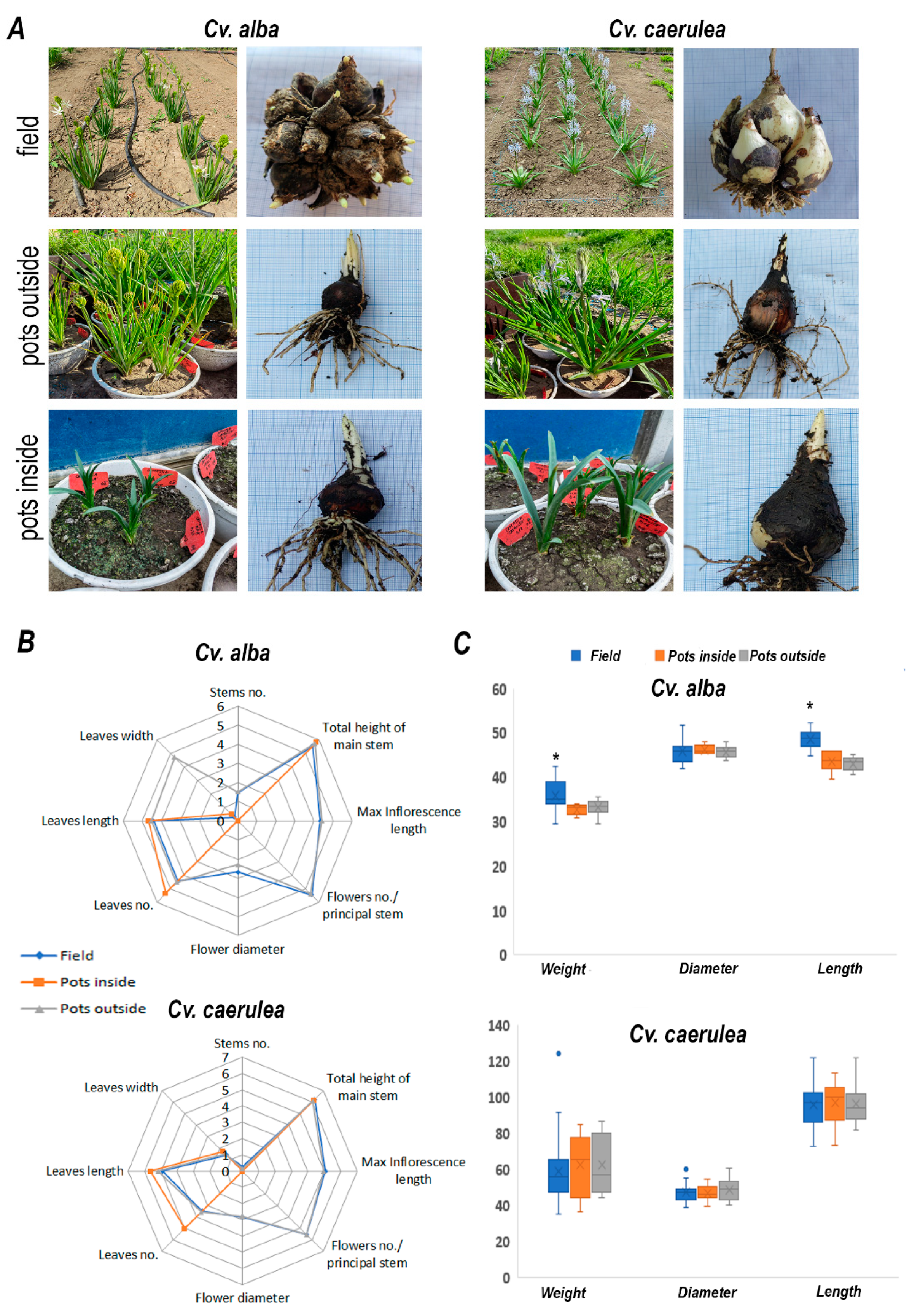 Molecules 30 04520 g001