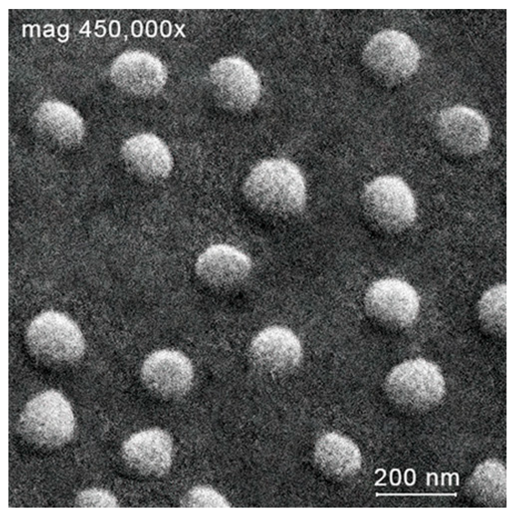 Molecules 30 04522 g002