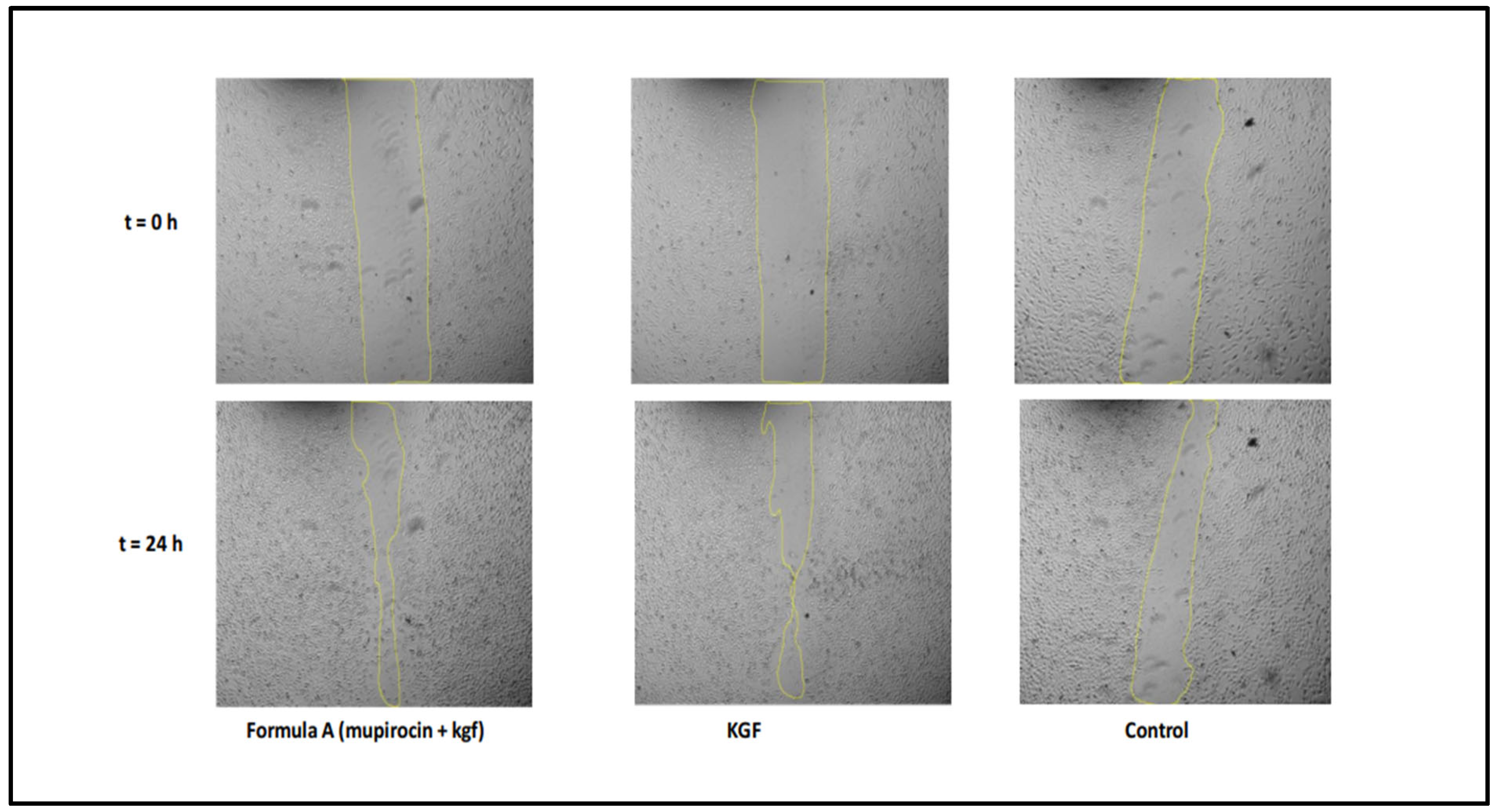 Molecules 30 04523 g009