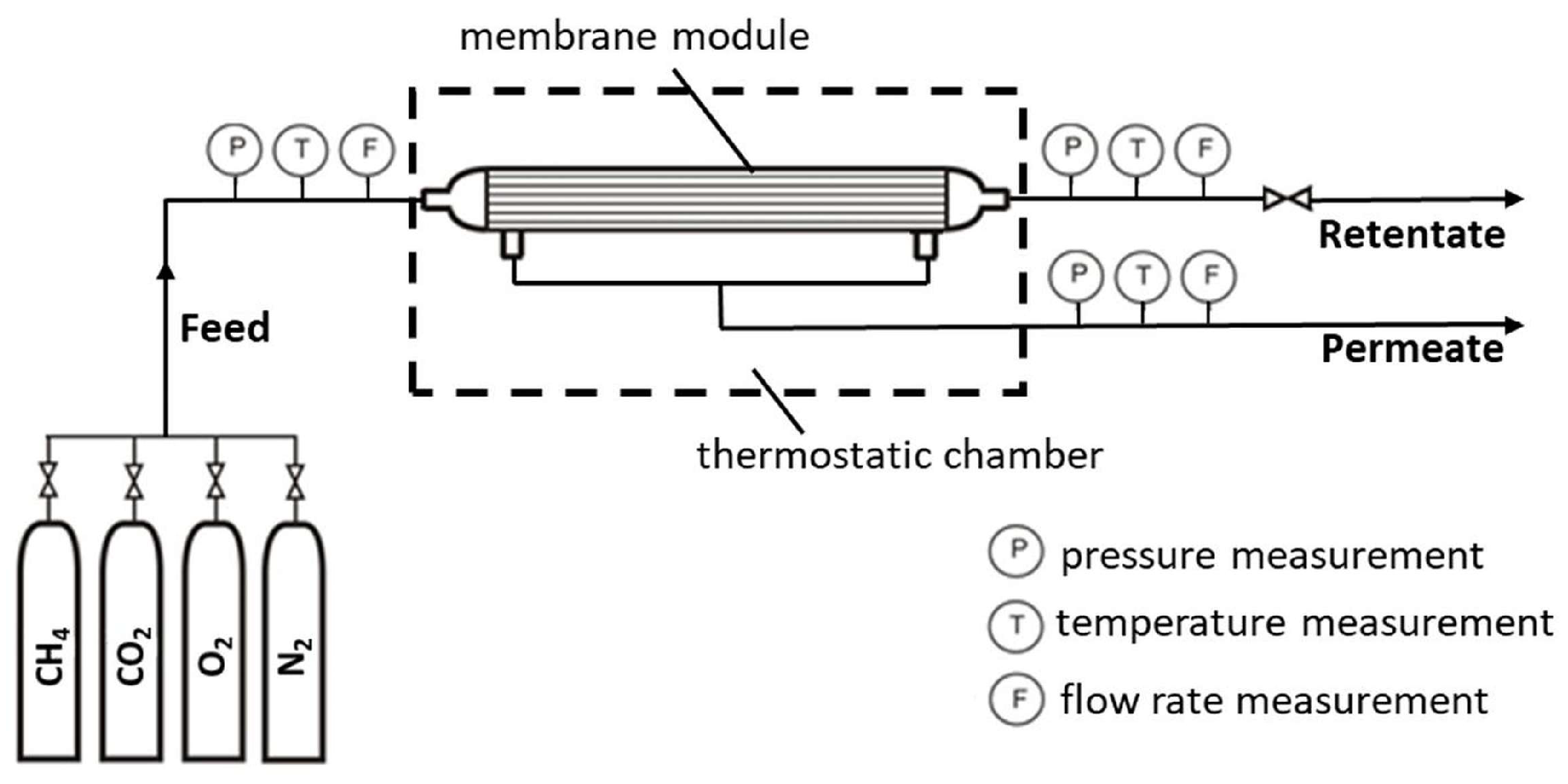 Molecules 30 04524 g010