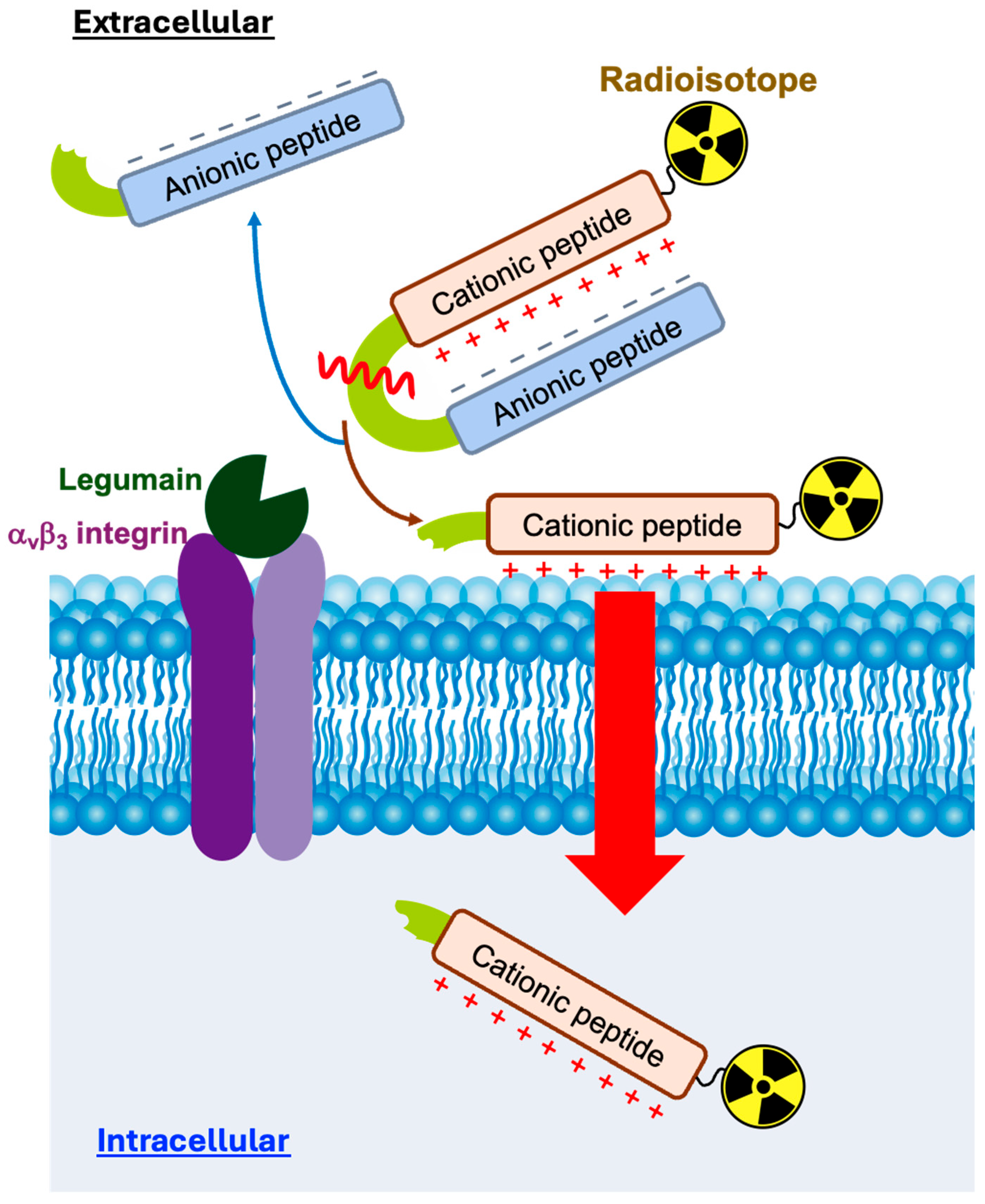 Molecules 30 04527 g001 Molecules 30 04527 g001