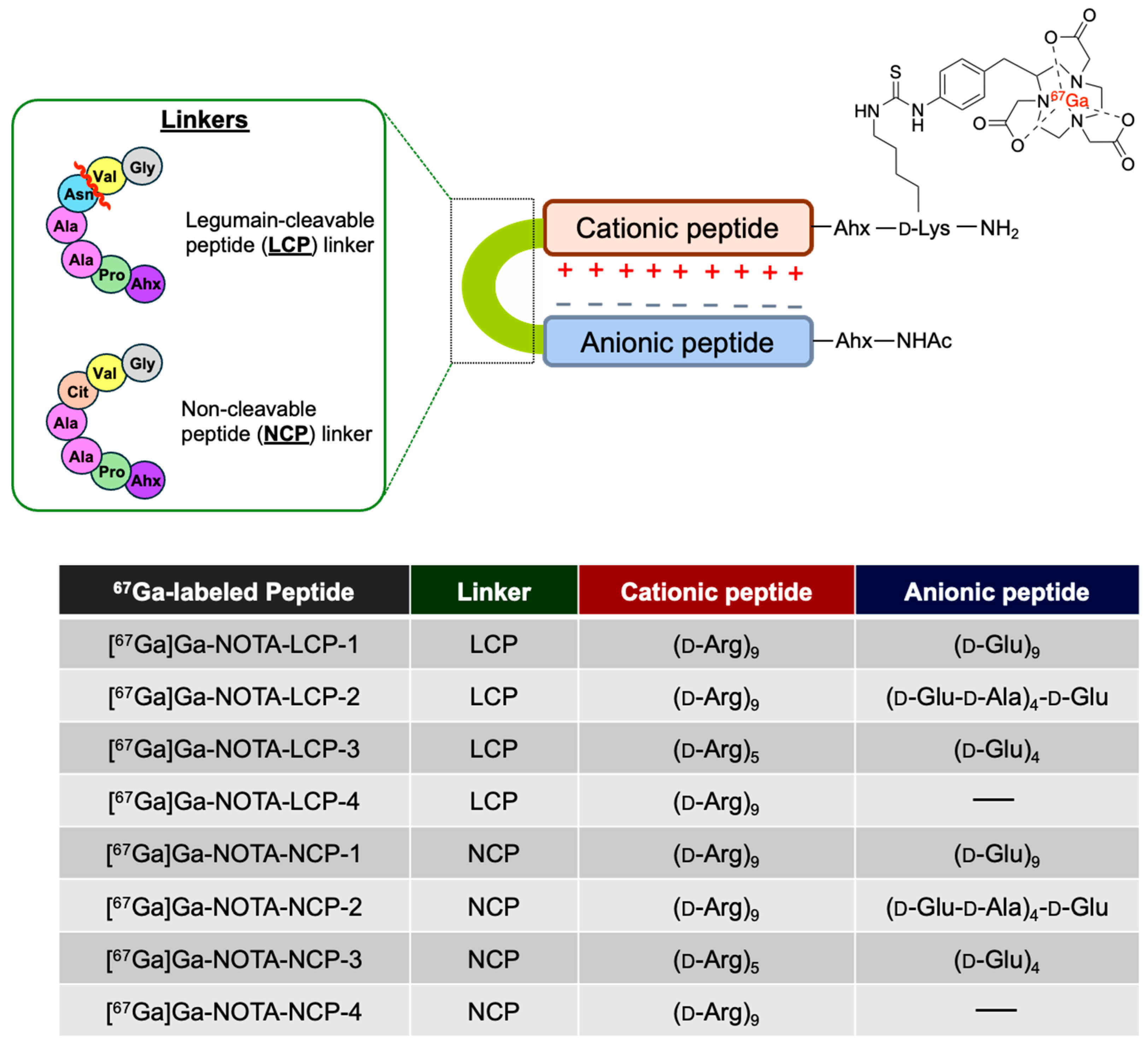 Molecules 30 04527 g002 Molecules 30 04527 g002