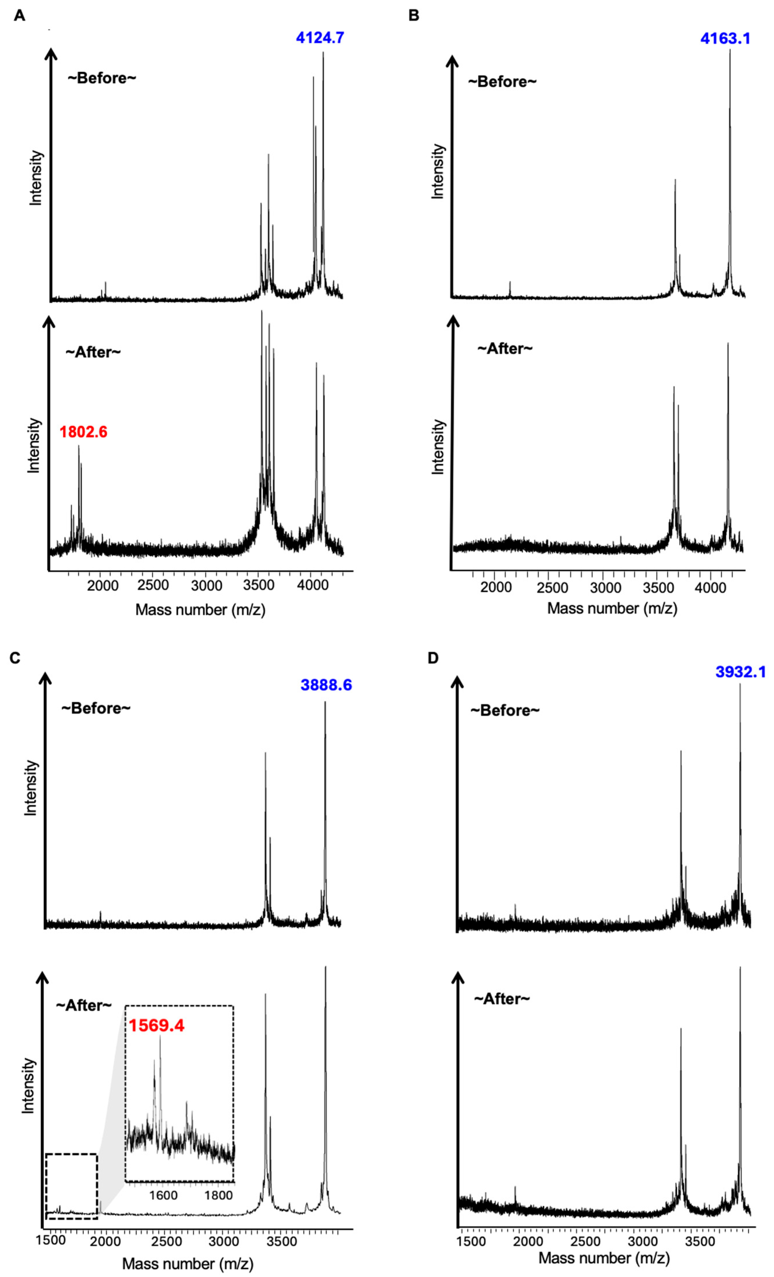Molecules 30 04527 g003a Molecules 30 04527 g003a