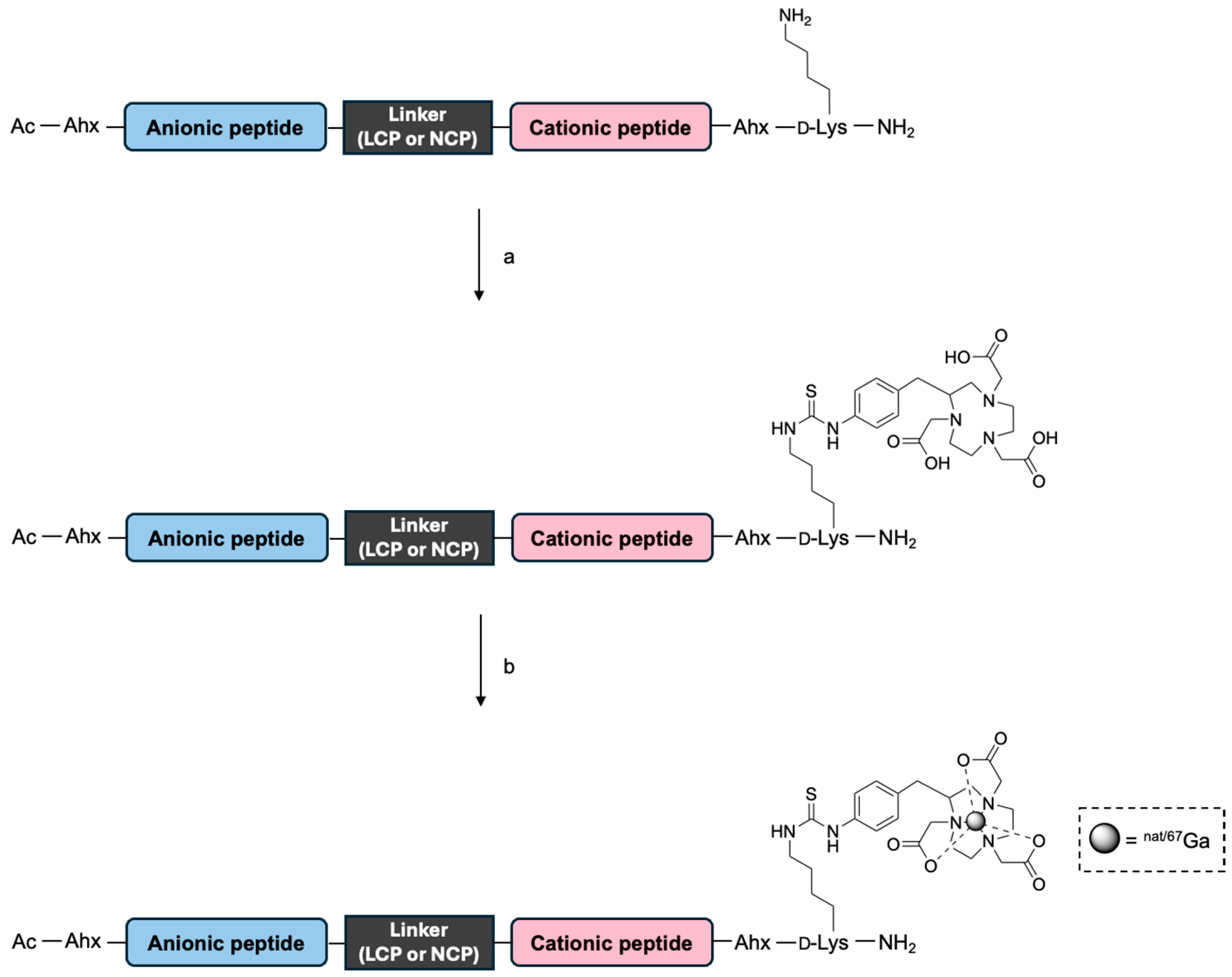 Molecules 30 04527 sch001 Molecules 30 04527 sch001