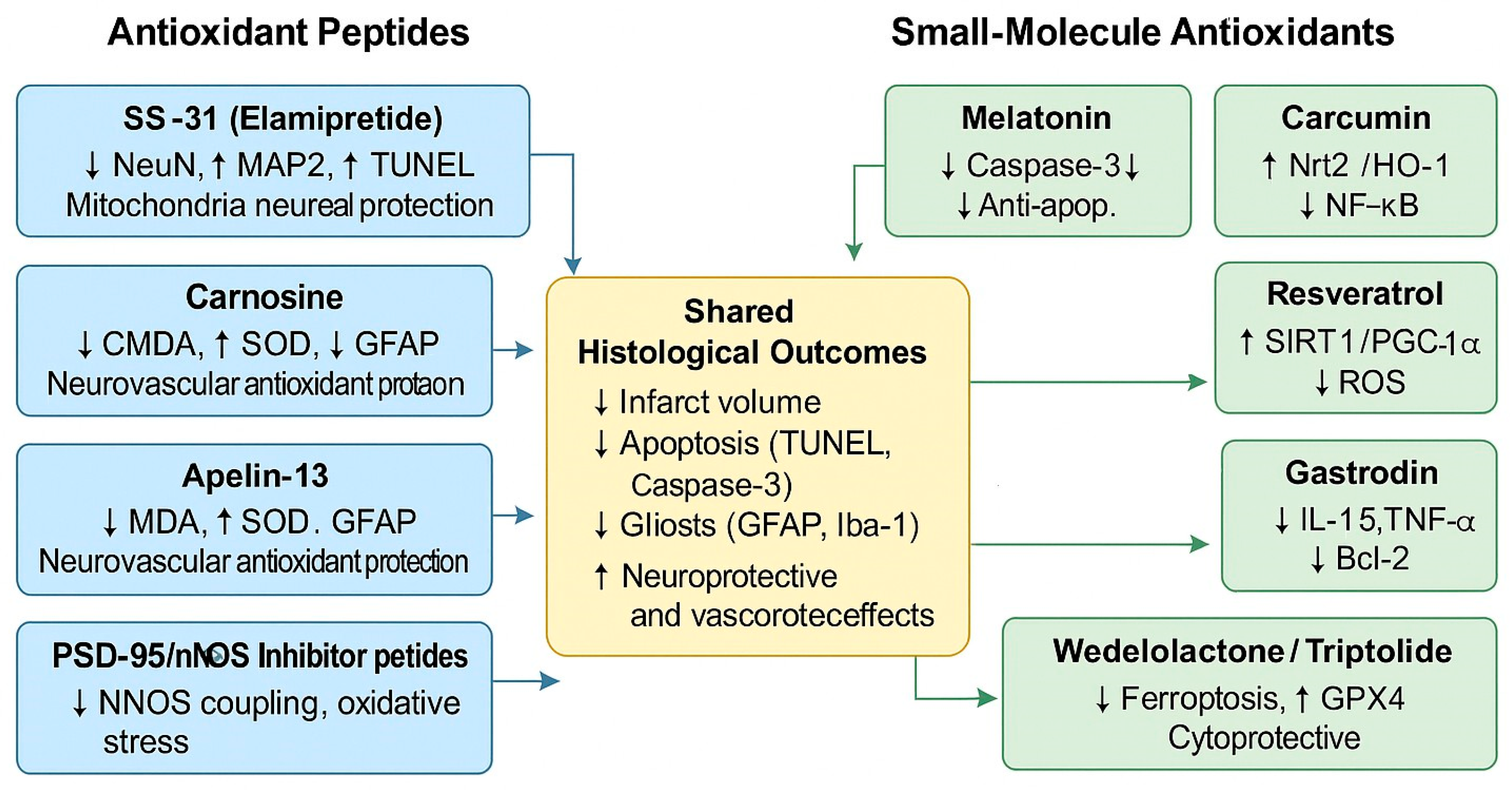 Molecules 30 04529 g002