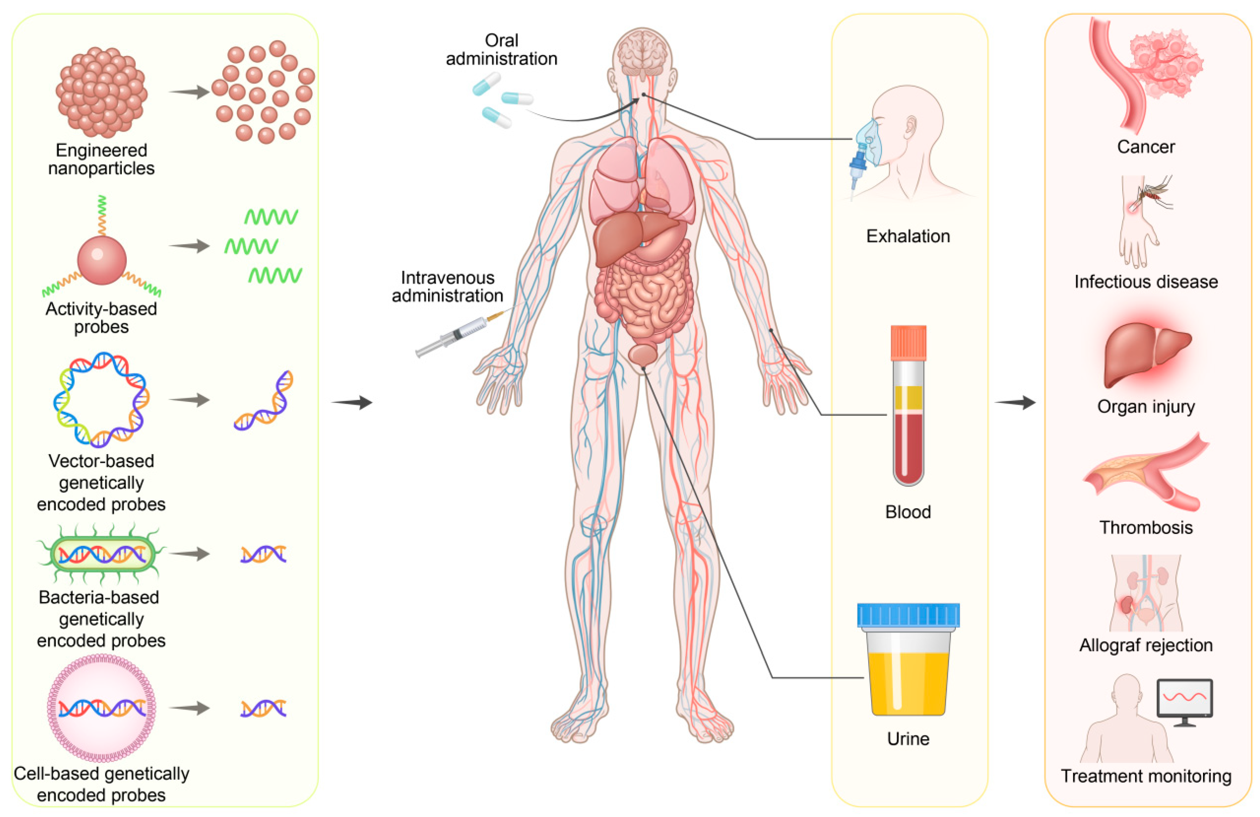 Molecules 30 04532 g001