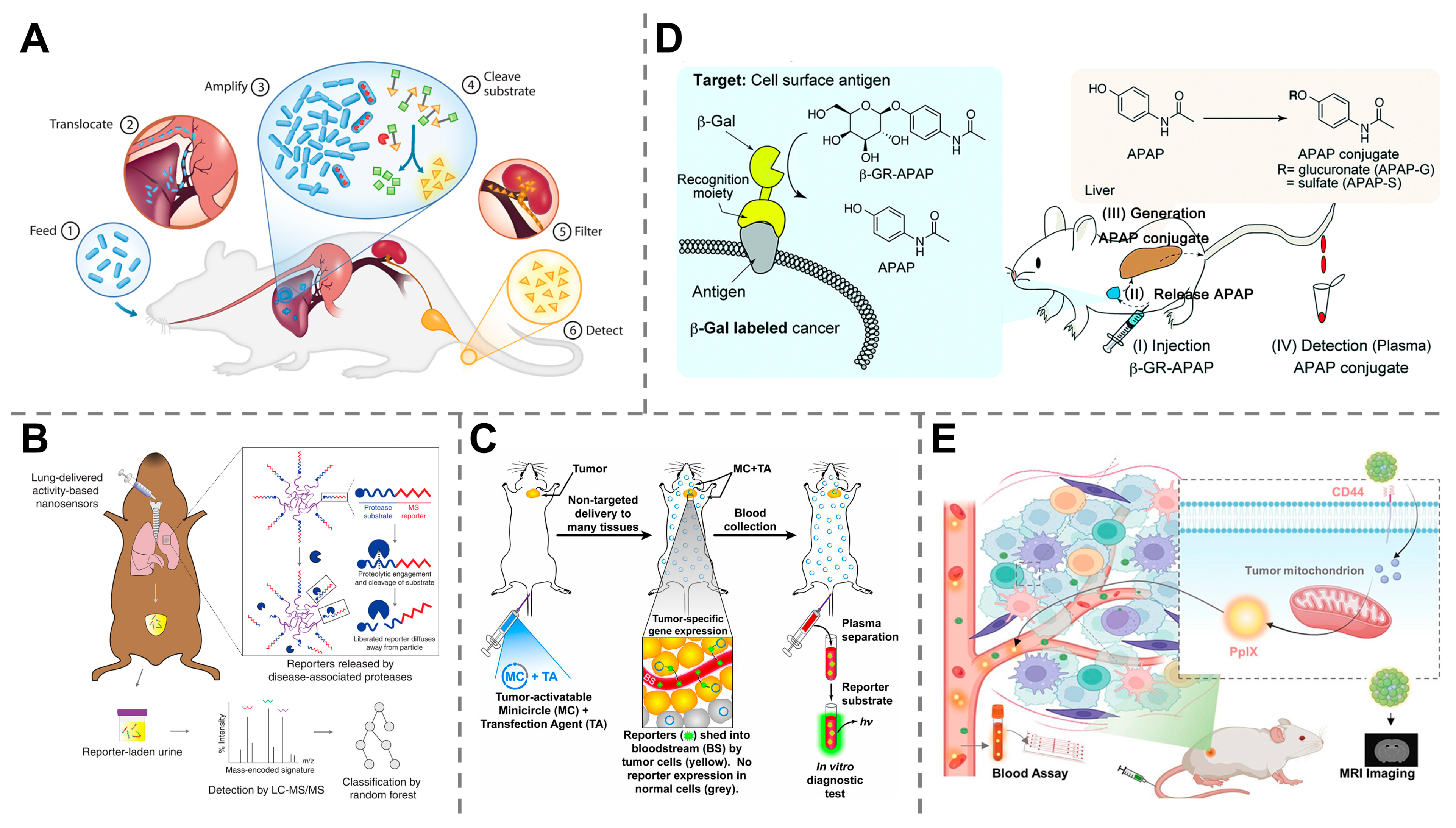 Molecules 30 04532 g004