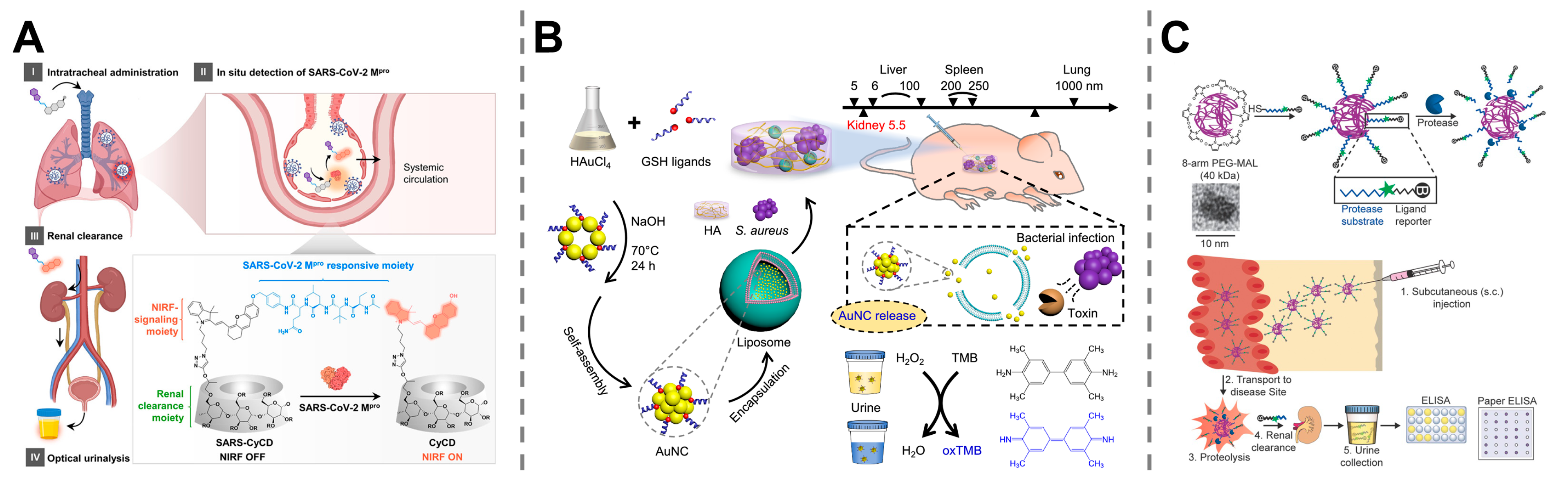 Molecules 30 04532 g005