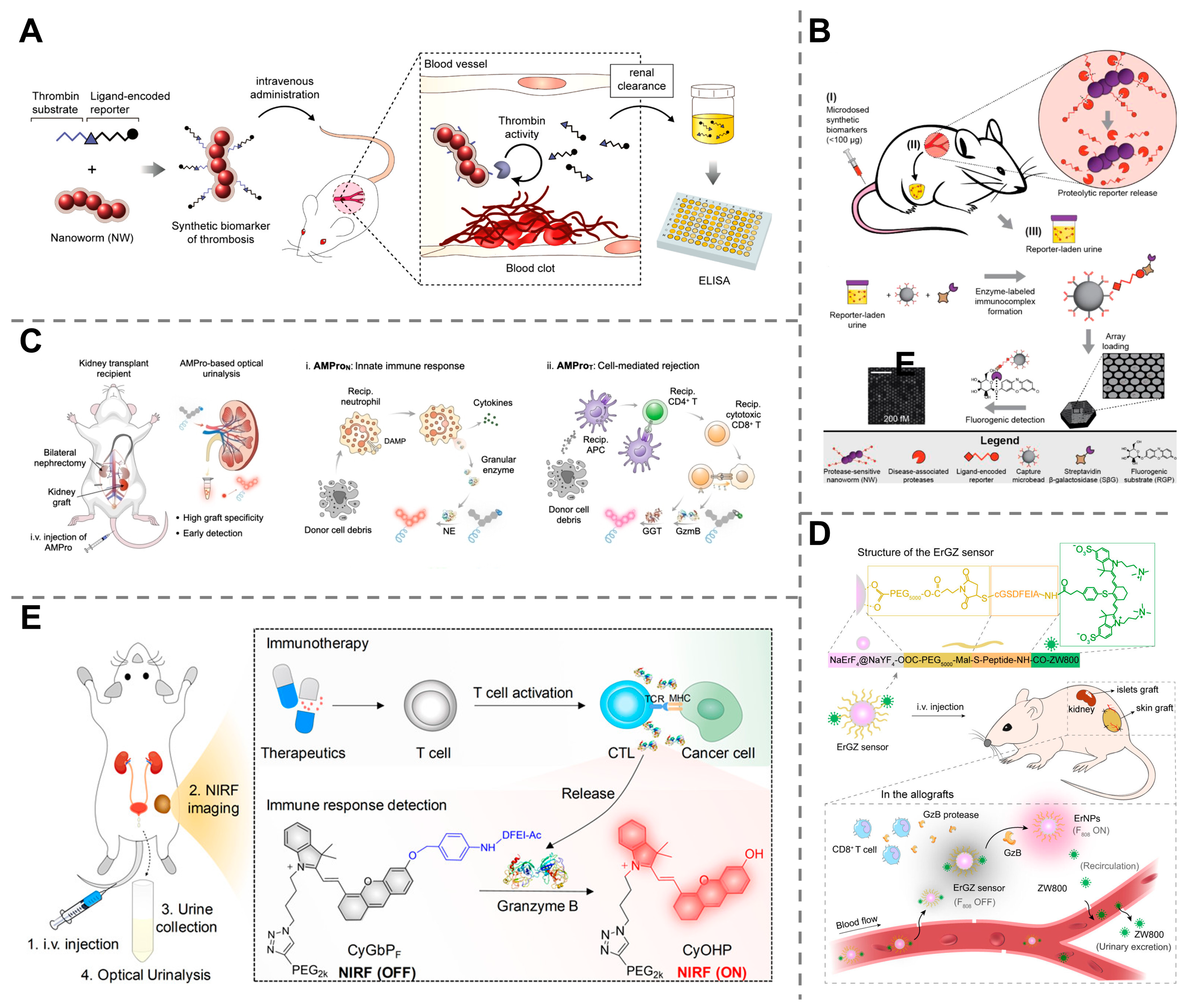 Molecules 30 04532 g007