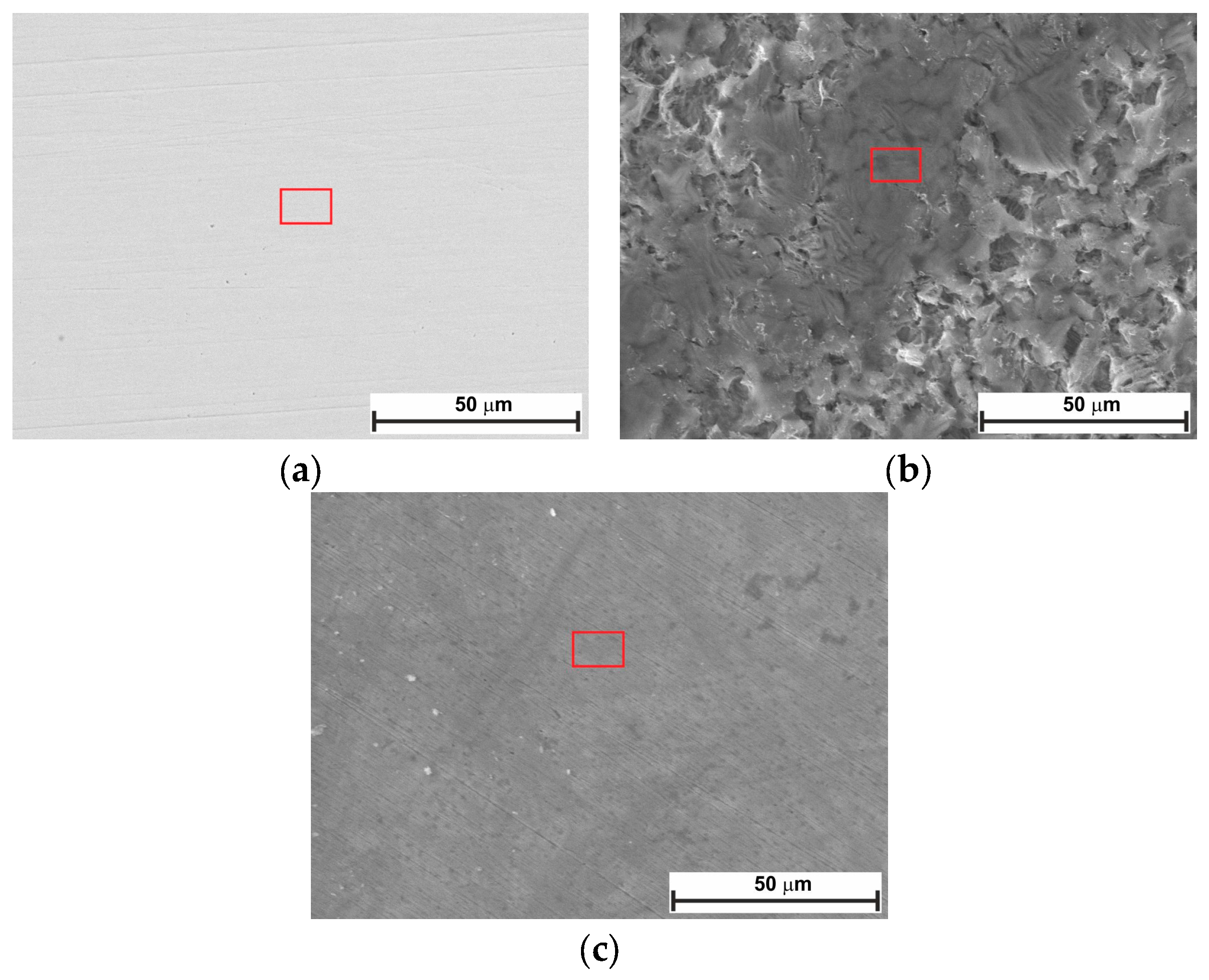 Molecules 30 04534 g008