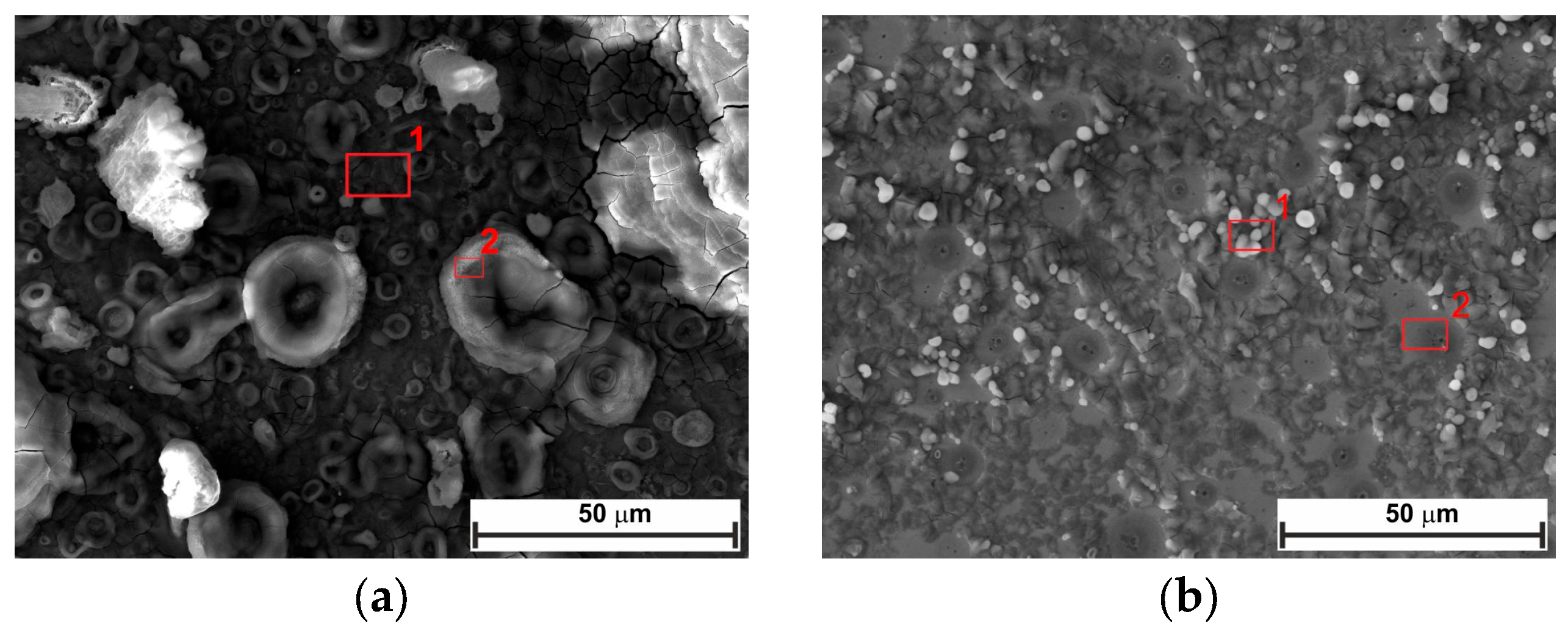 Molecules 30 04534 g009