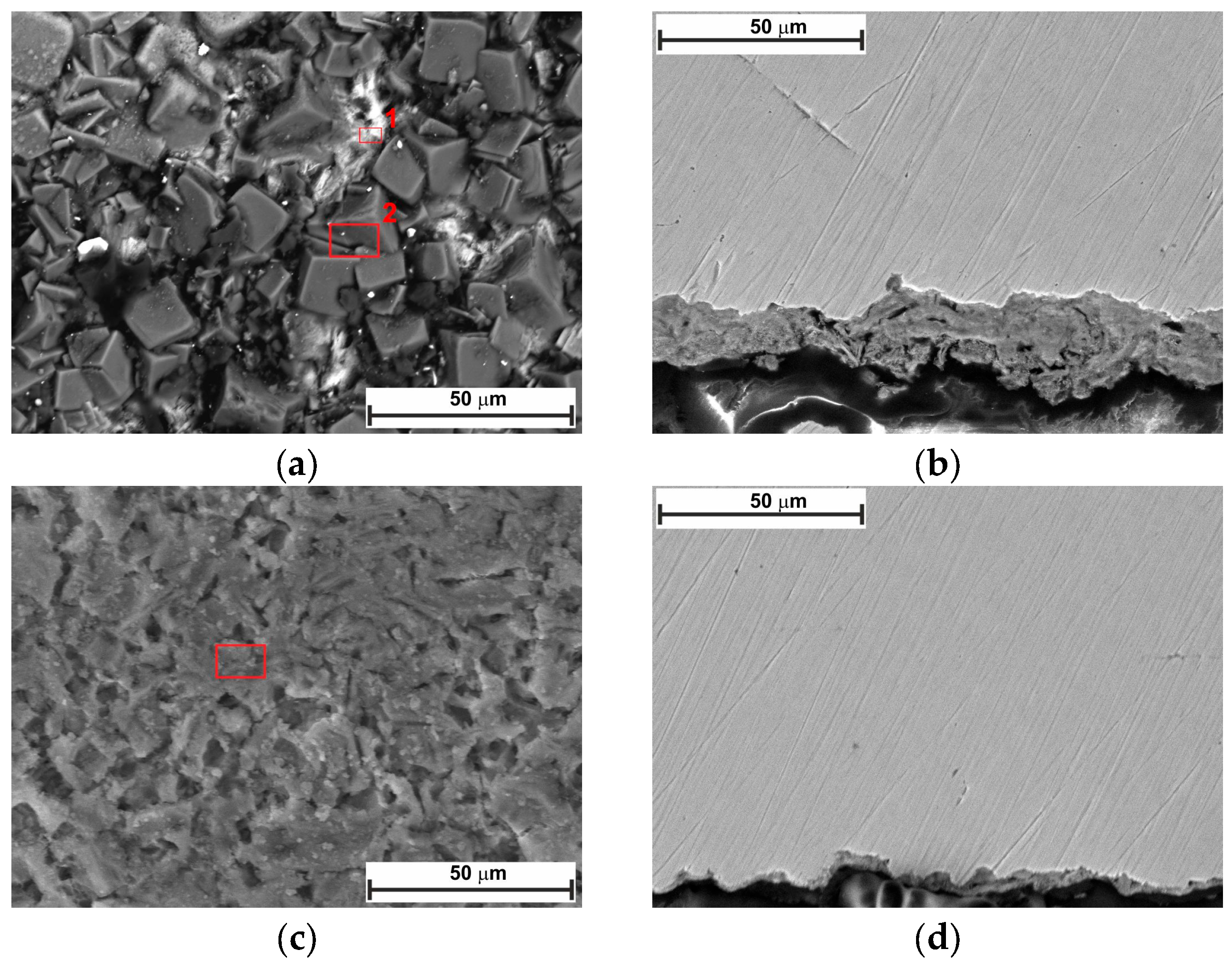 Molecules 30 04534 g010