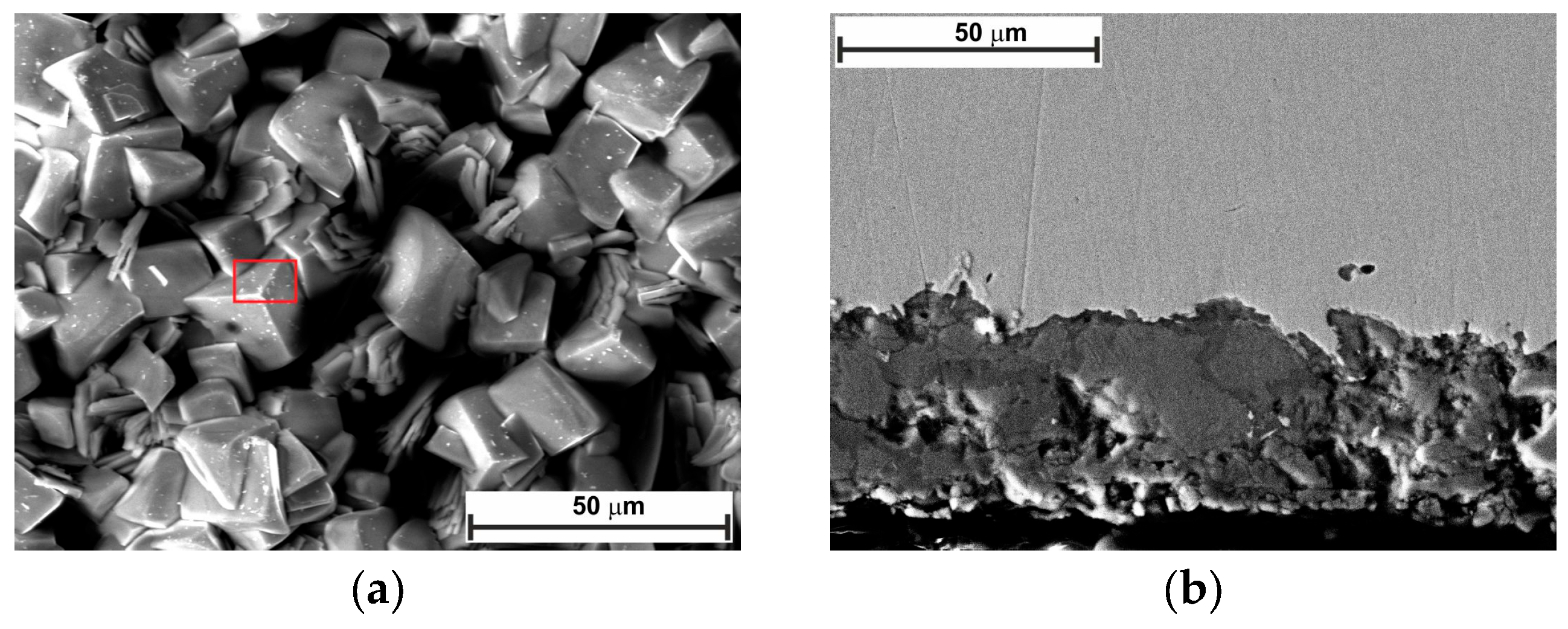 Molecules 30 04534 g011a