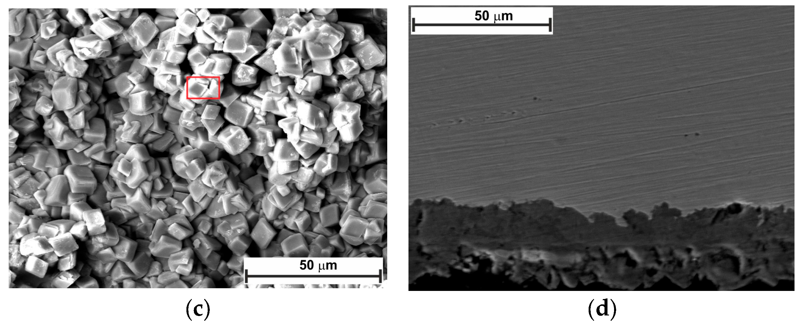 Molecules 30 04534 g011b