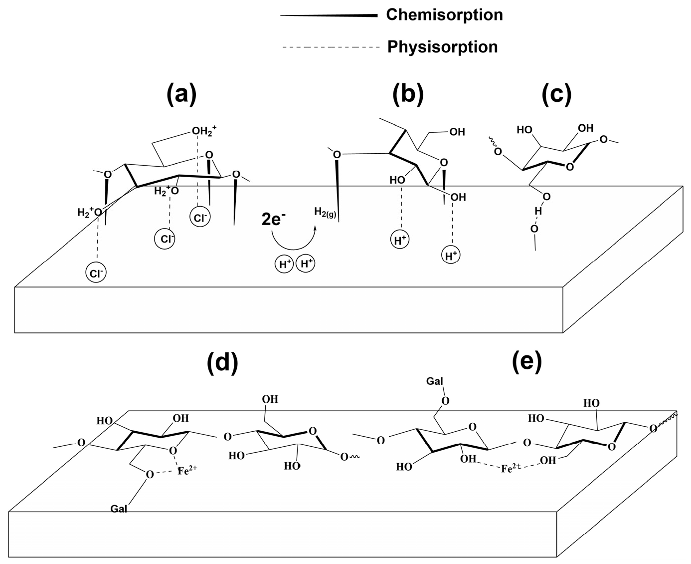 Molecules 30 04534 g016