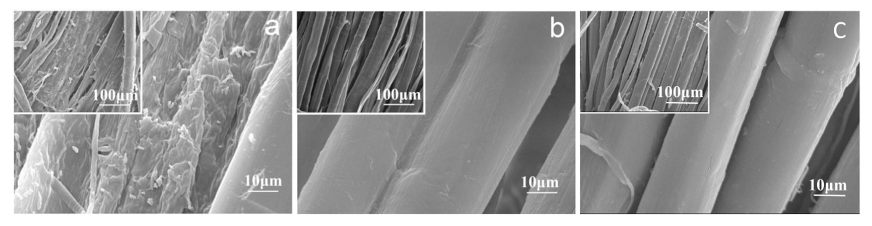 Molecules 30 04535 g002