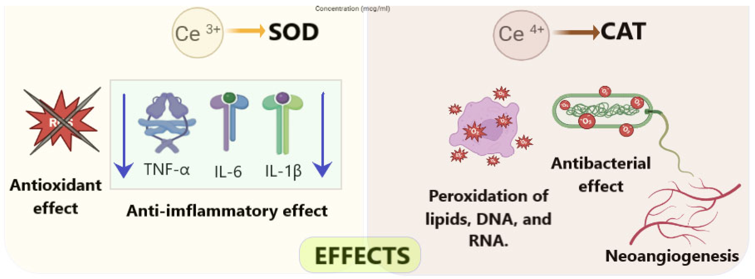 Molecules 30 04536 g001