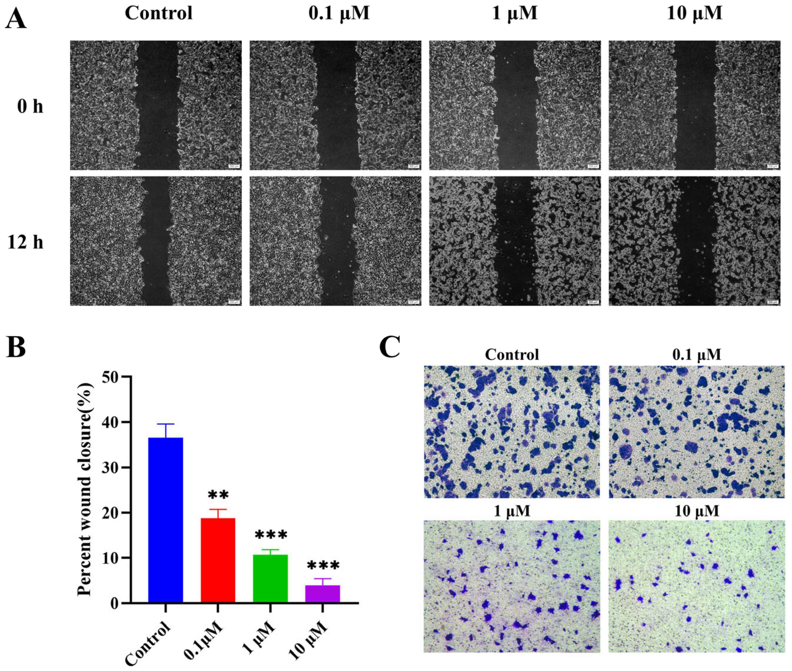 Molecules 30 04538 g004