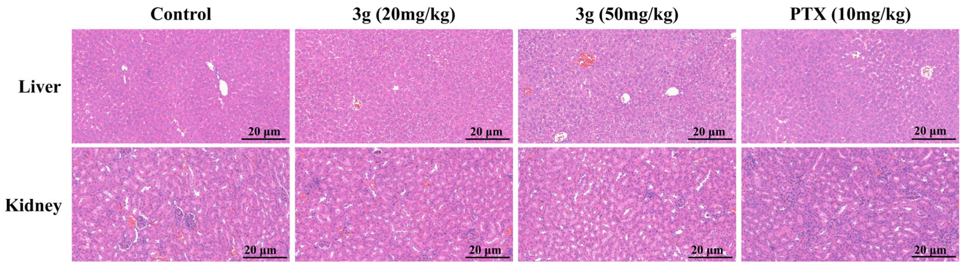 Molecules 30 04538 g009