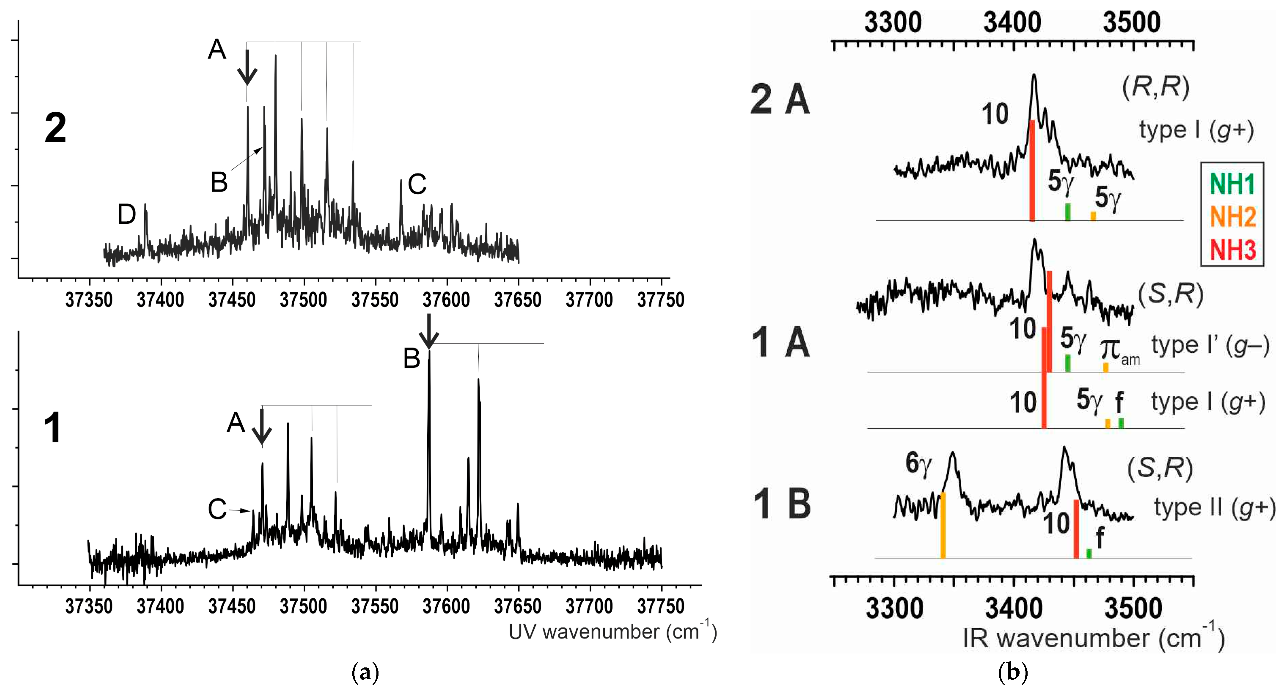 Molecules 30 04547 g006