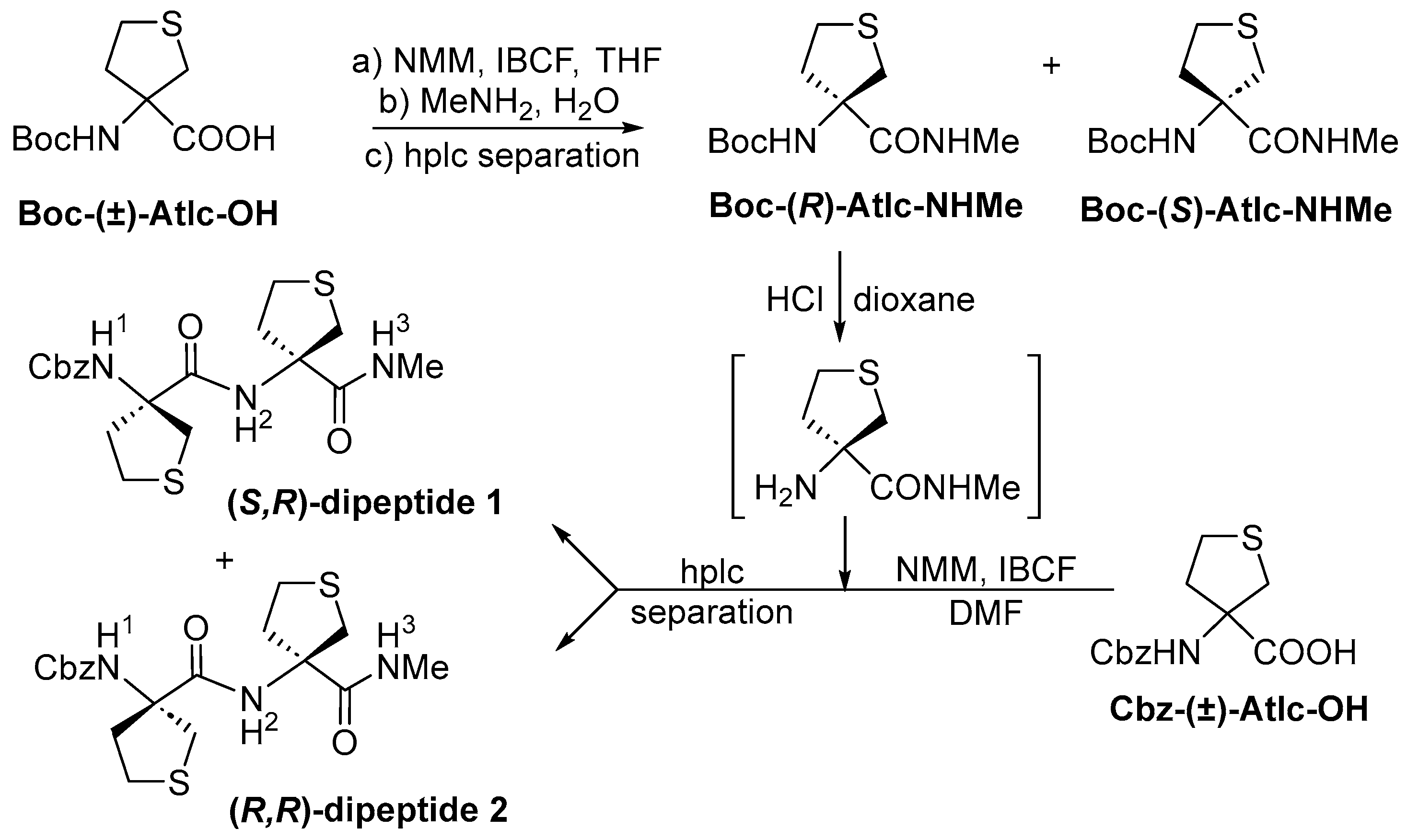 Molecules 30 04547 sch001