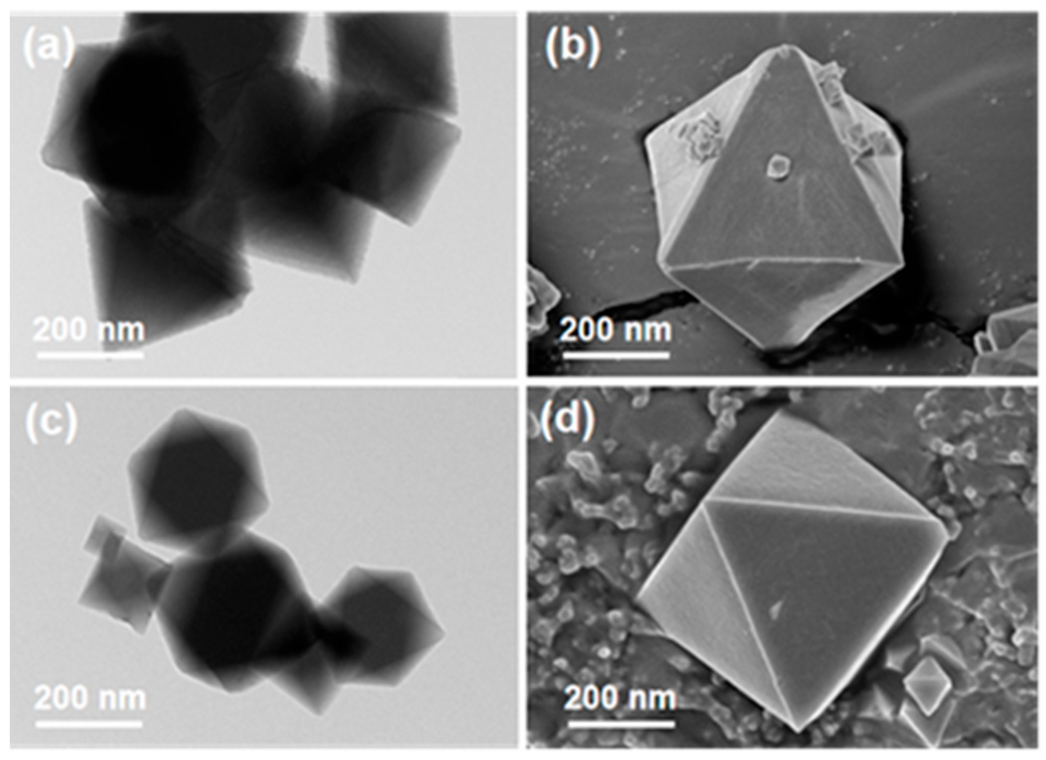 Molecules 30 04554 g001