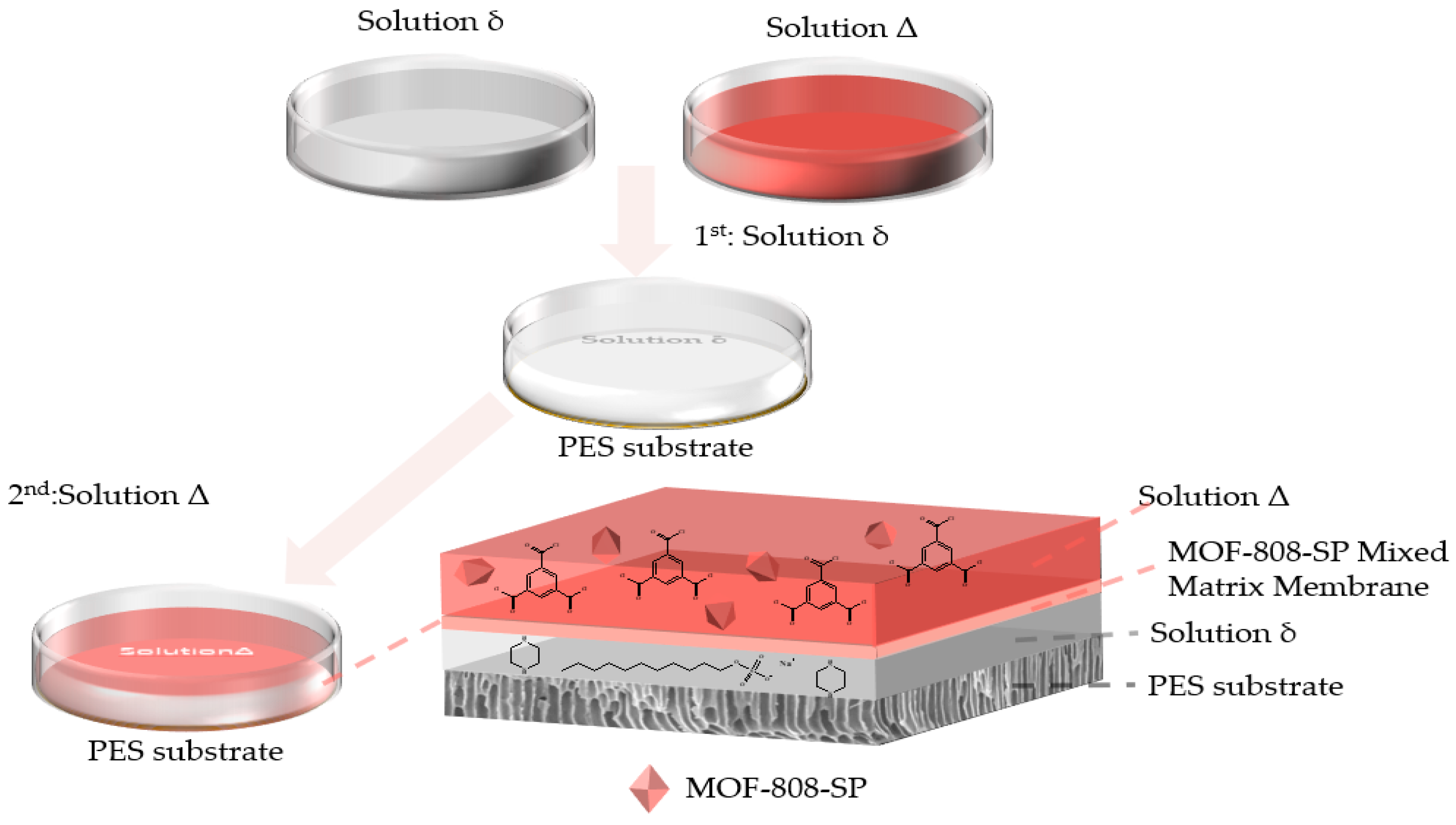 Molecules 30 04554 sch001