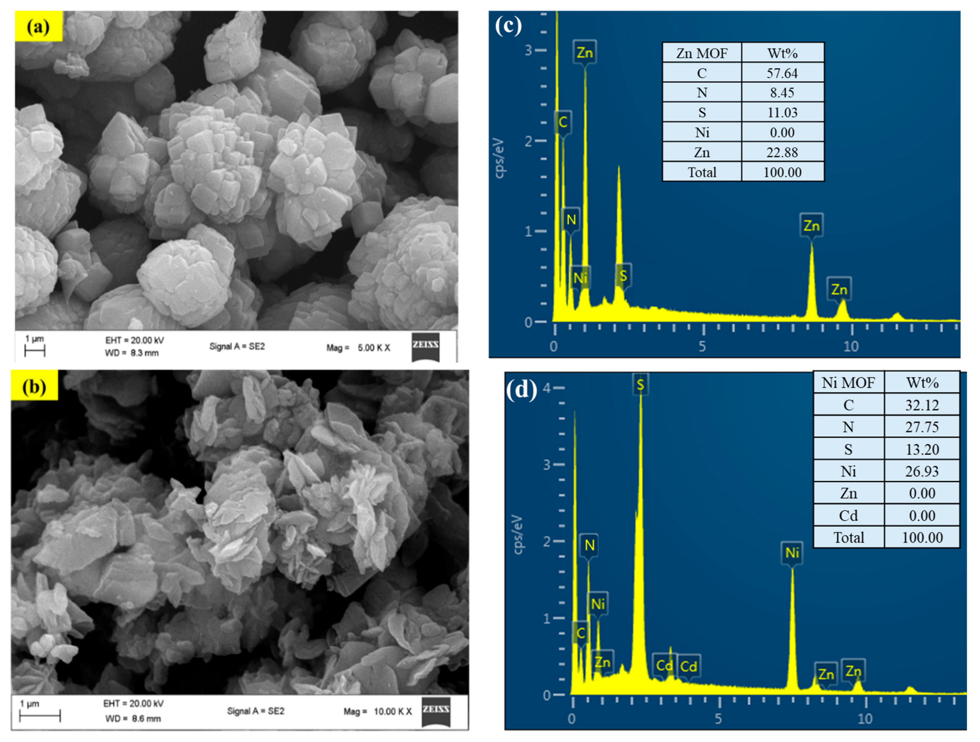 Molecules 30 04565 g001 Molecules 30 04565 g001