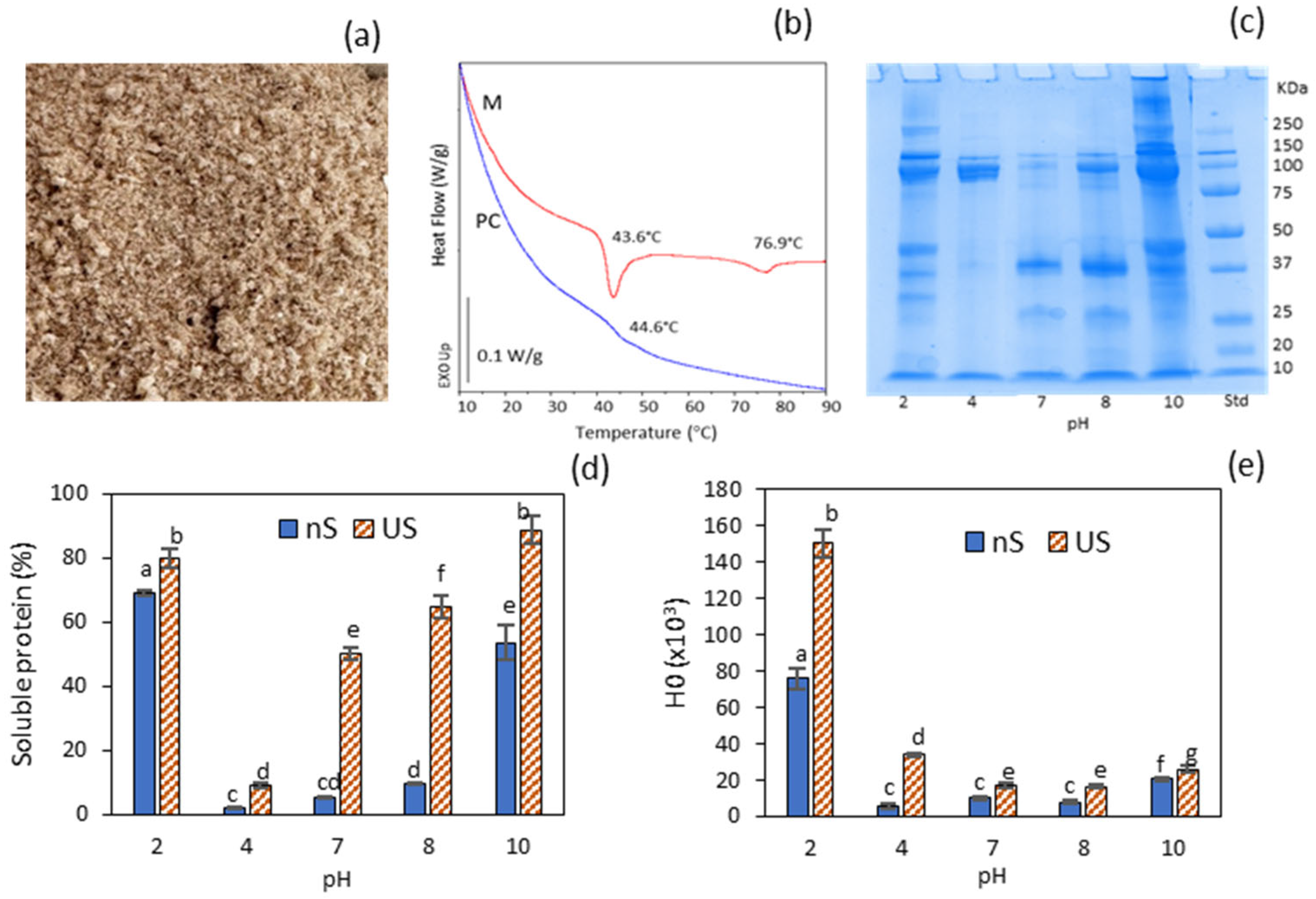Molecules 30 04570 g001 Molecules 30 04570 g001