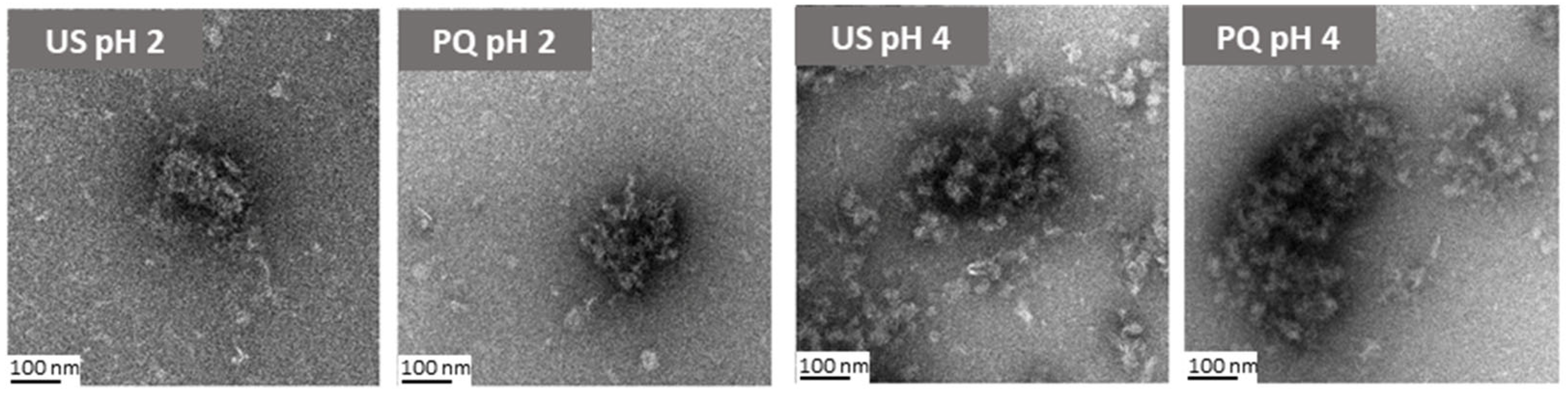 Molecules 30 04570 g003 Molecules 30 04570 g003
