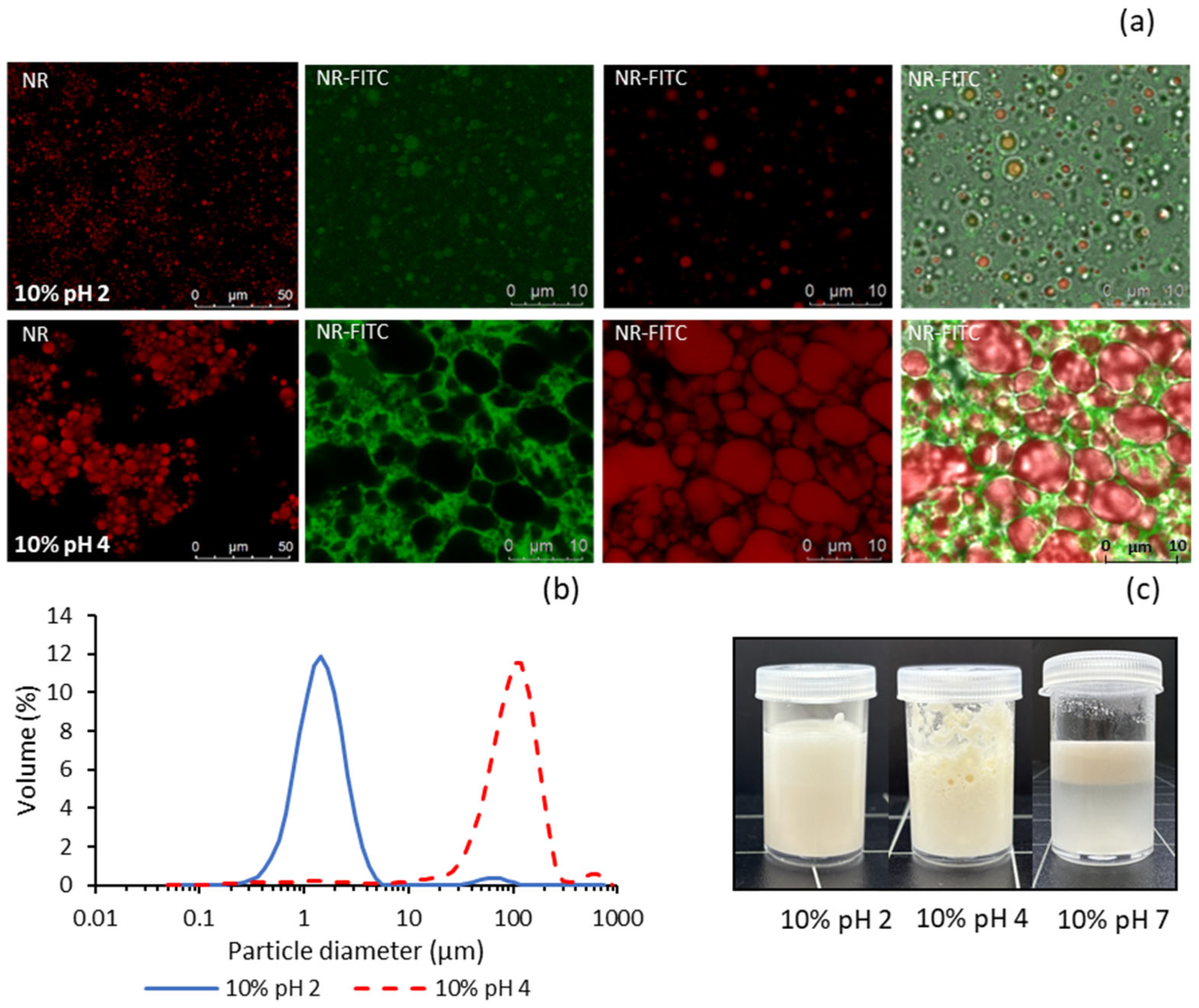 Molecules 30 04570 g004 Molecules 30 04570 g004