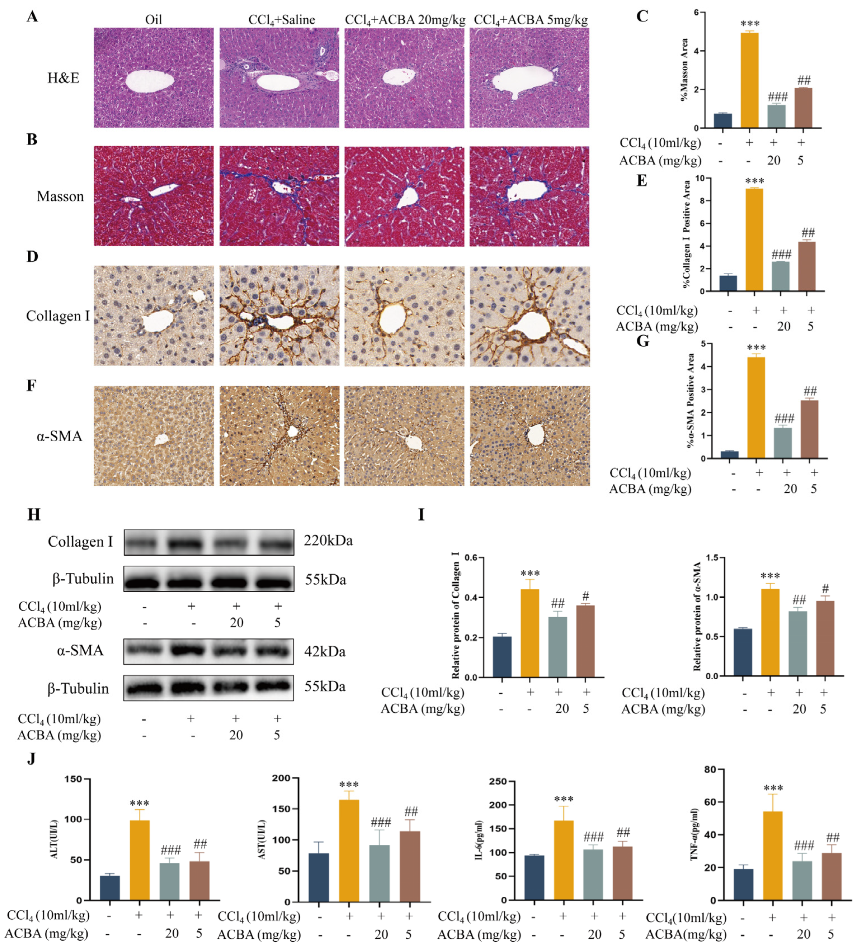 Molecules 30 04571 g001