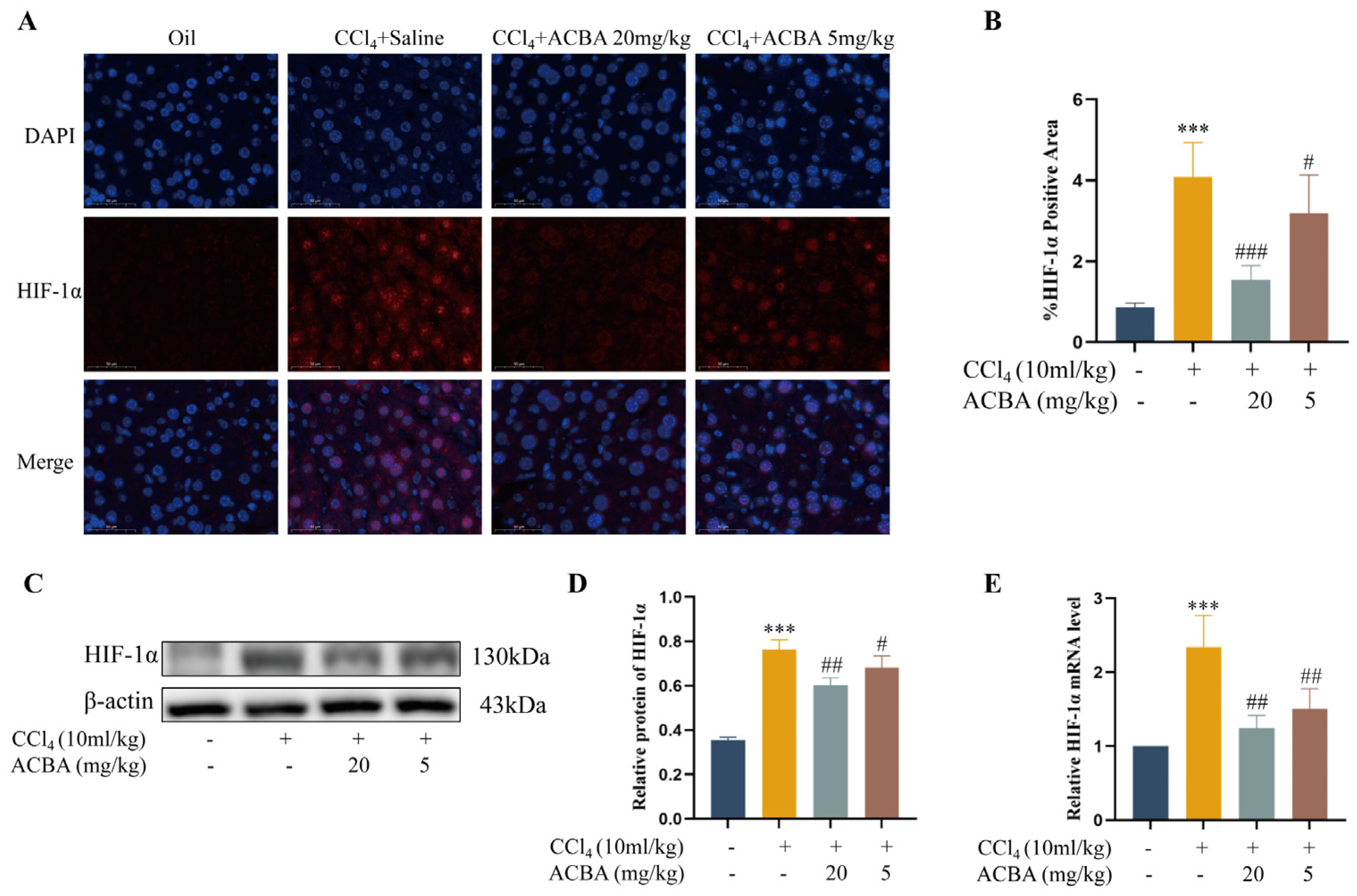 Molecules 30 04571 g006
