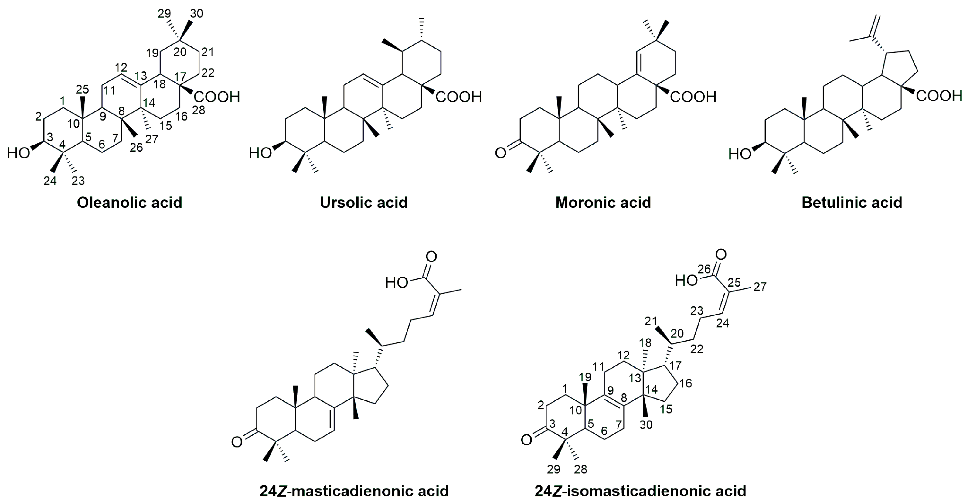 Molecules 30 04572 g001