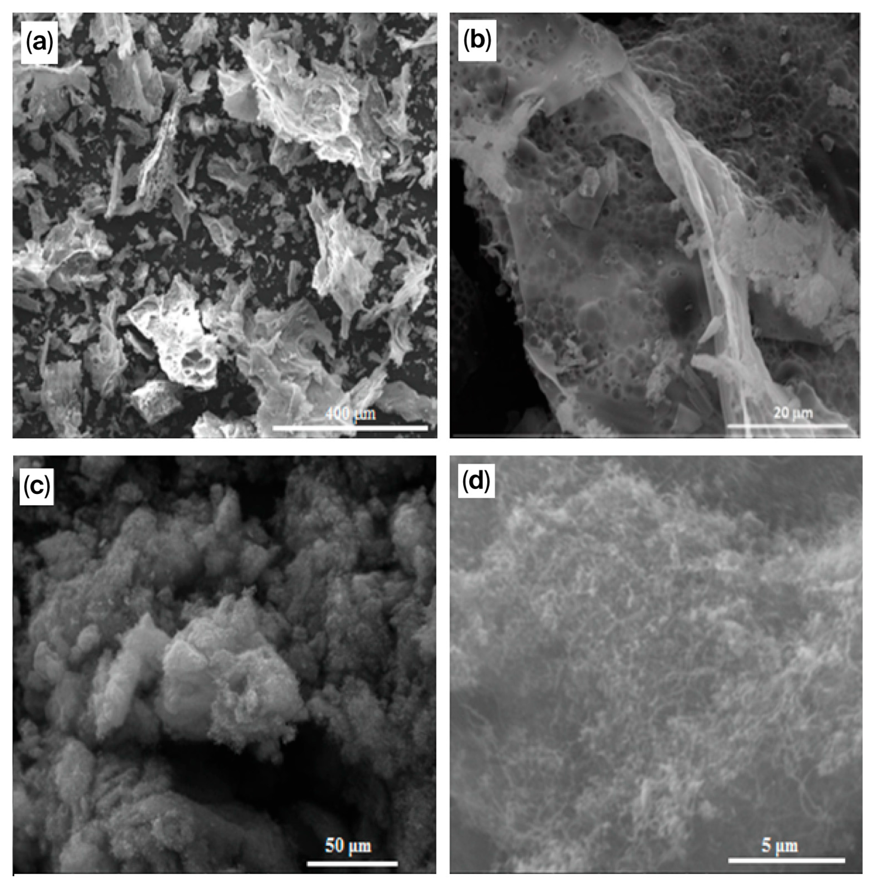 Molecules 30 04575 g002