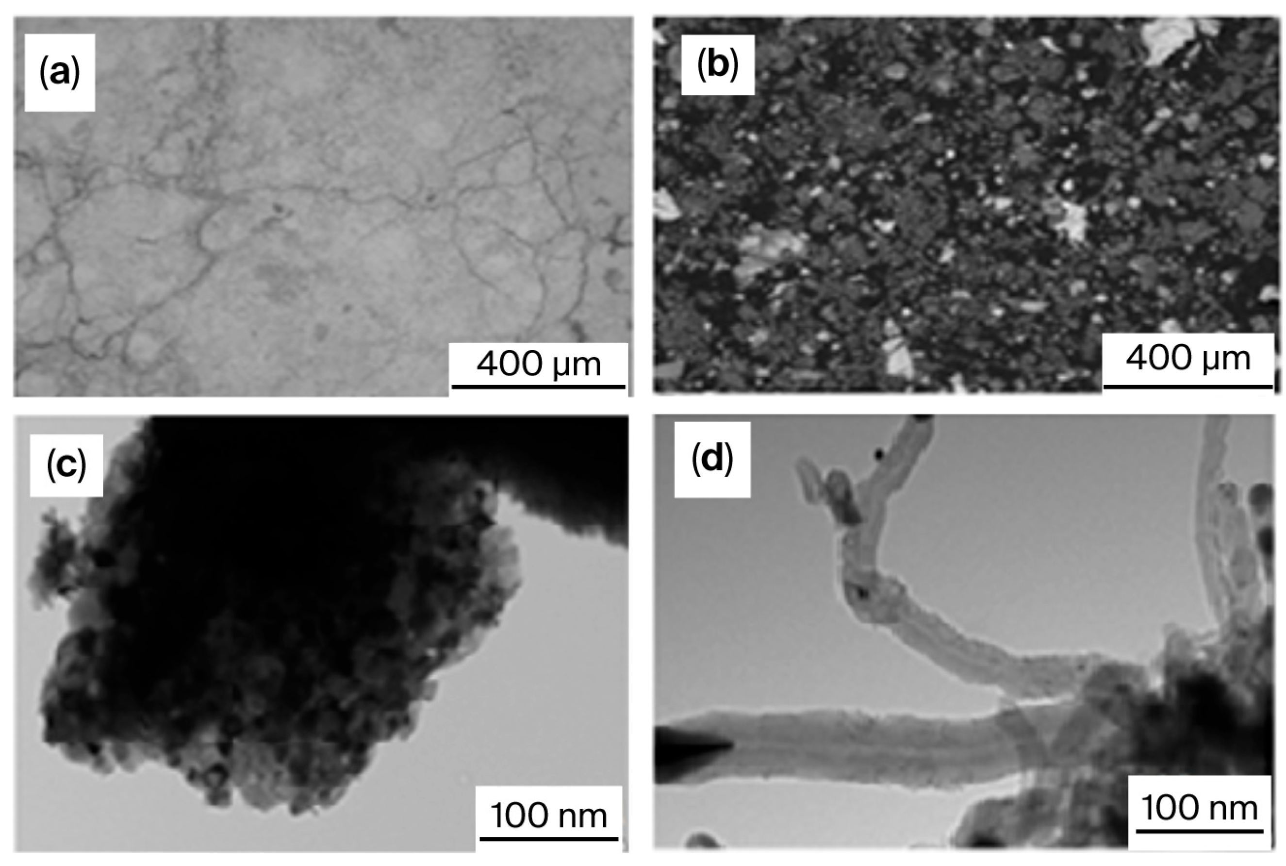 Molecules 30 04575 g004