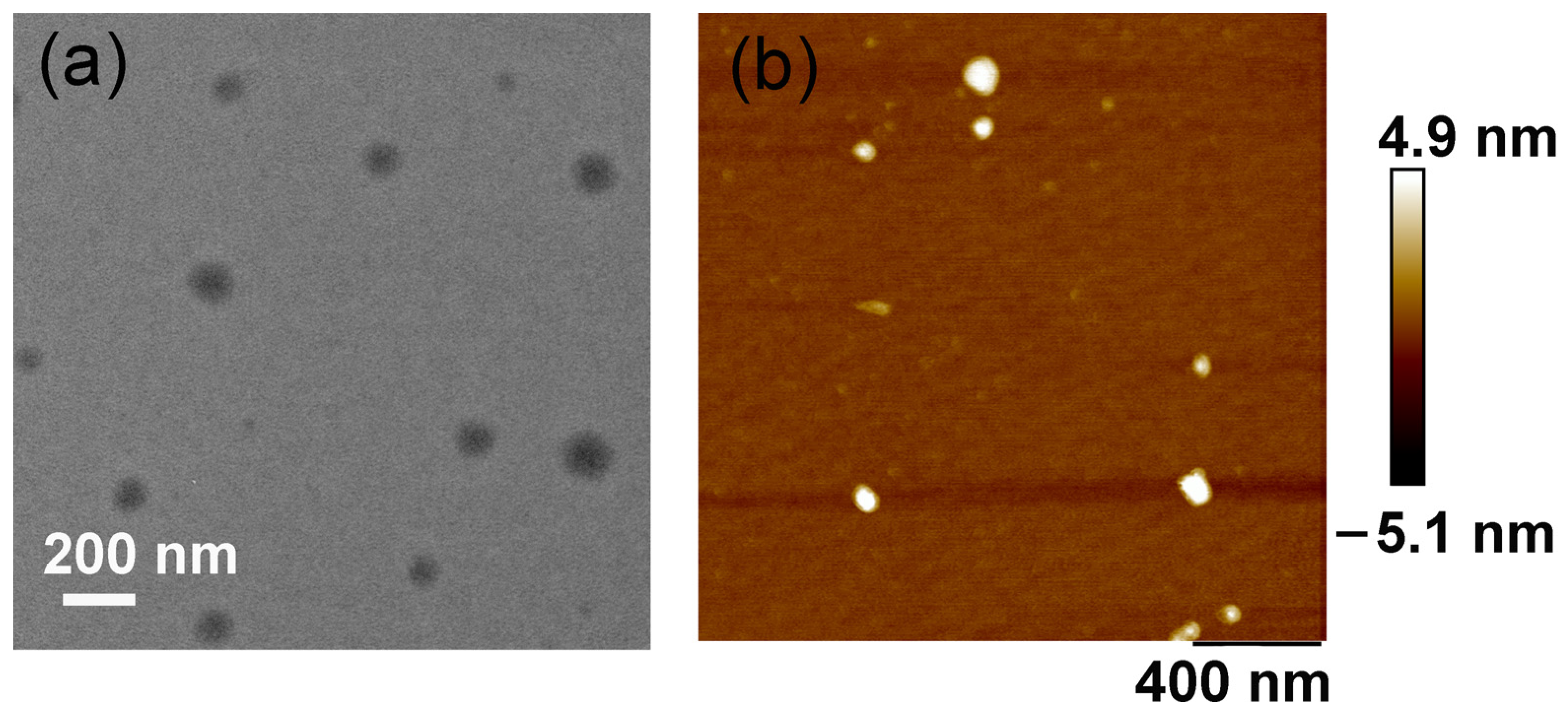 Molecules 30 04576 g002