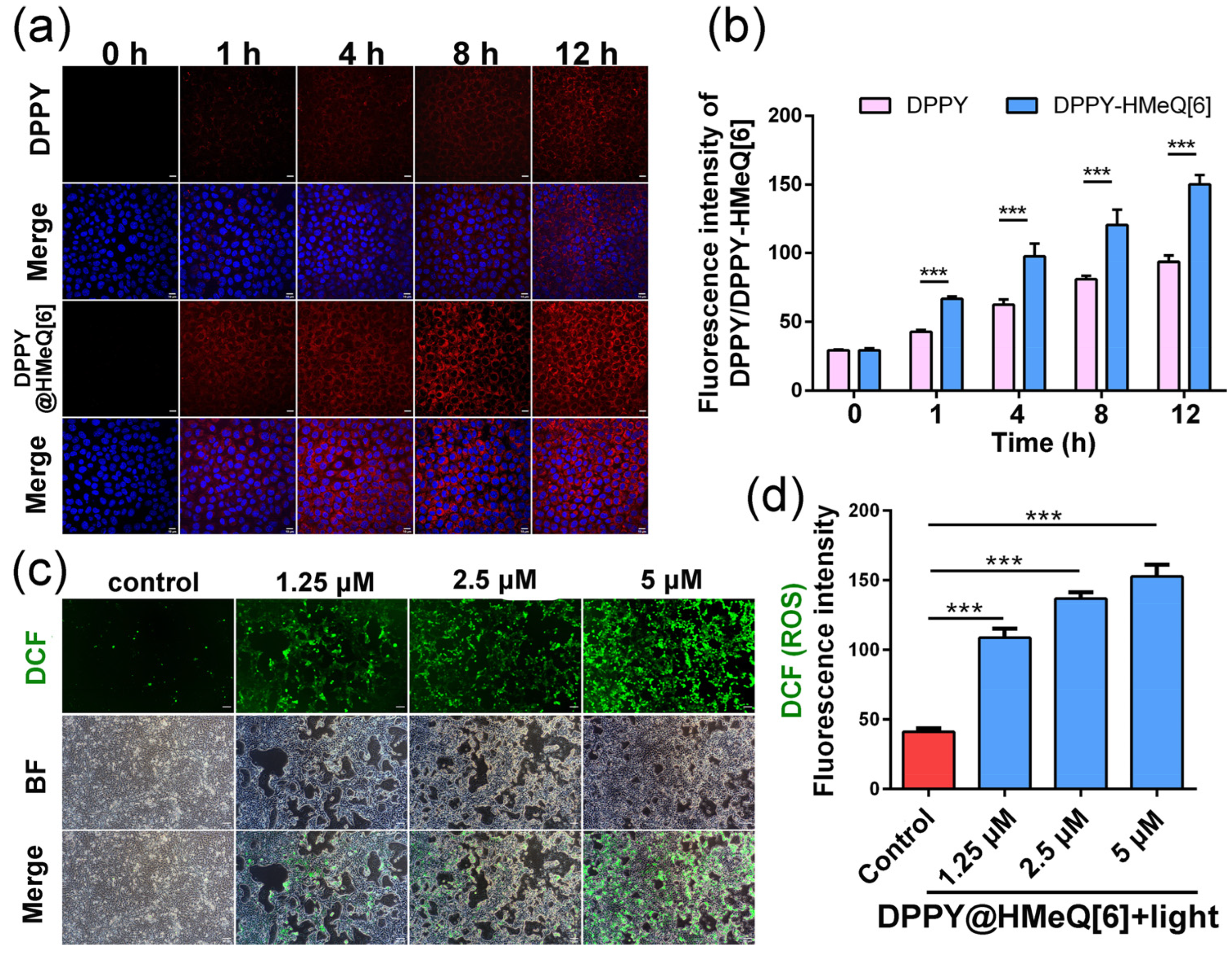Molecules 30 04576 g005