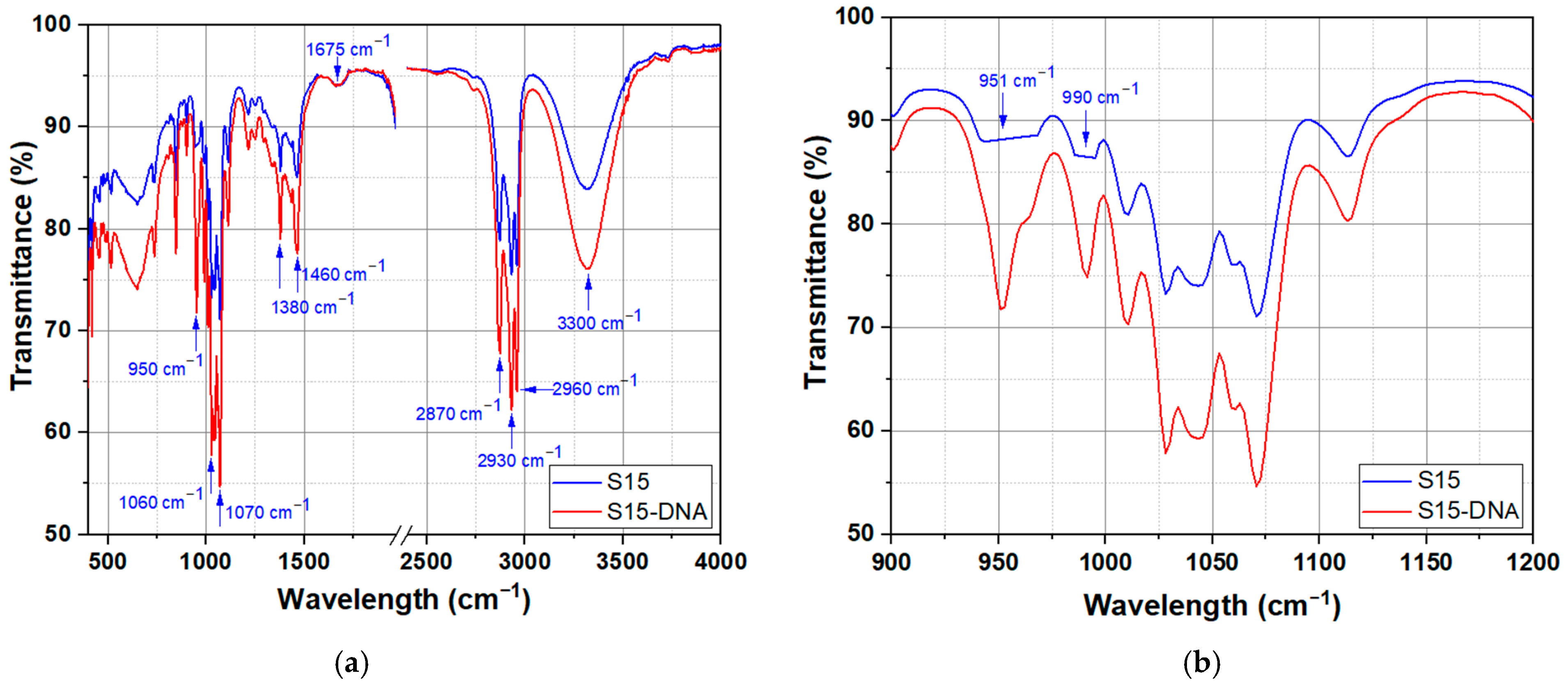 Molecules 30 04577 g004 Molecules 30 04577 g004