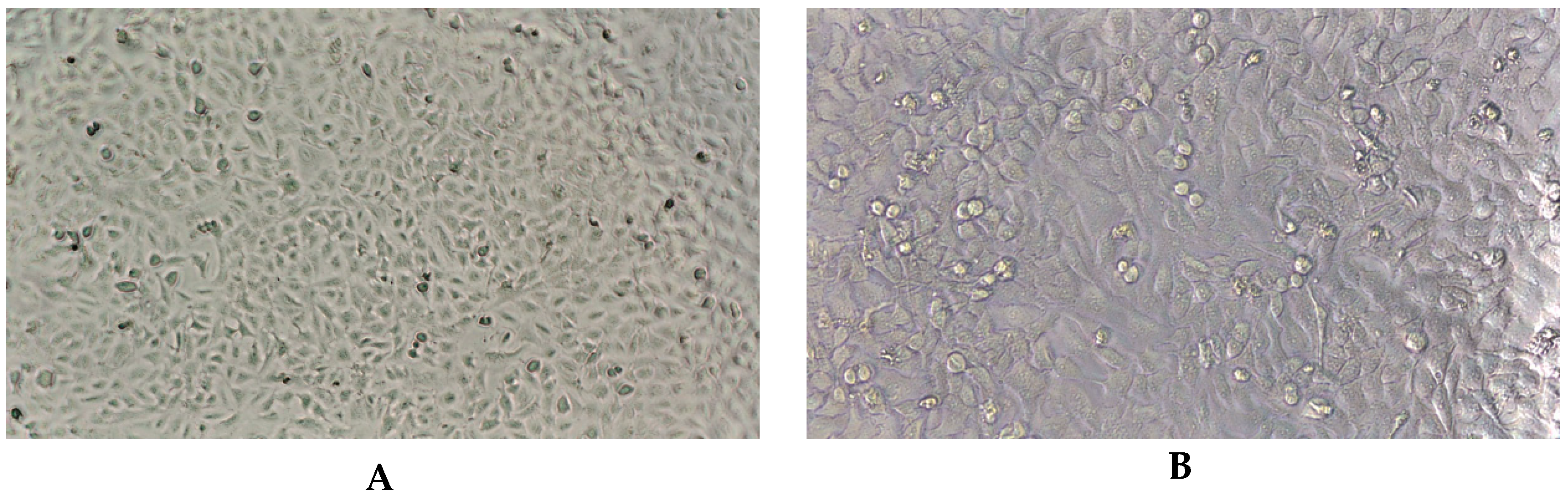 Molecules 30 04579 g002a