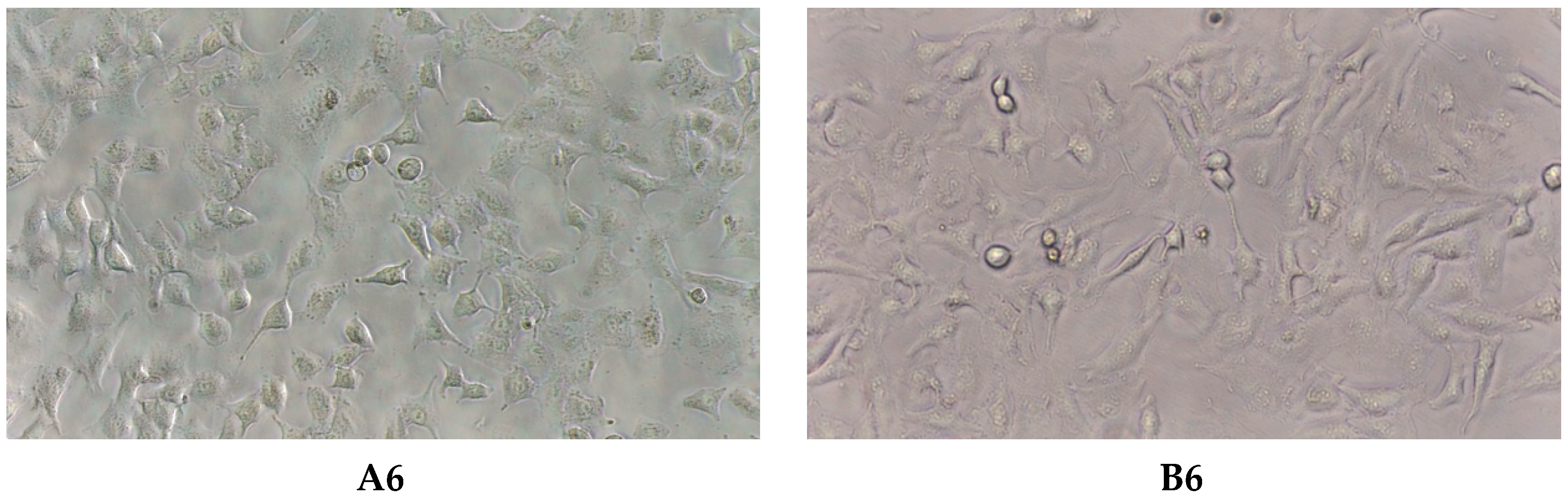 Molecules 30 04579 g002c