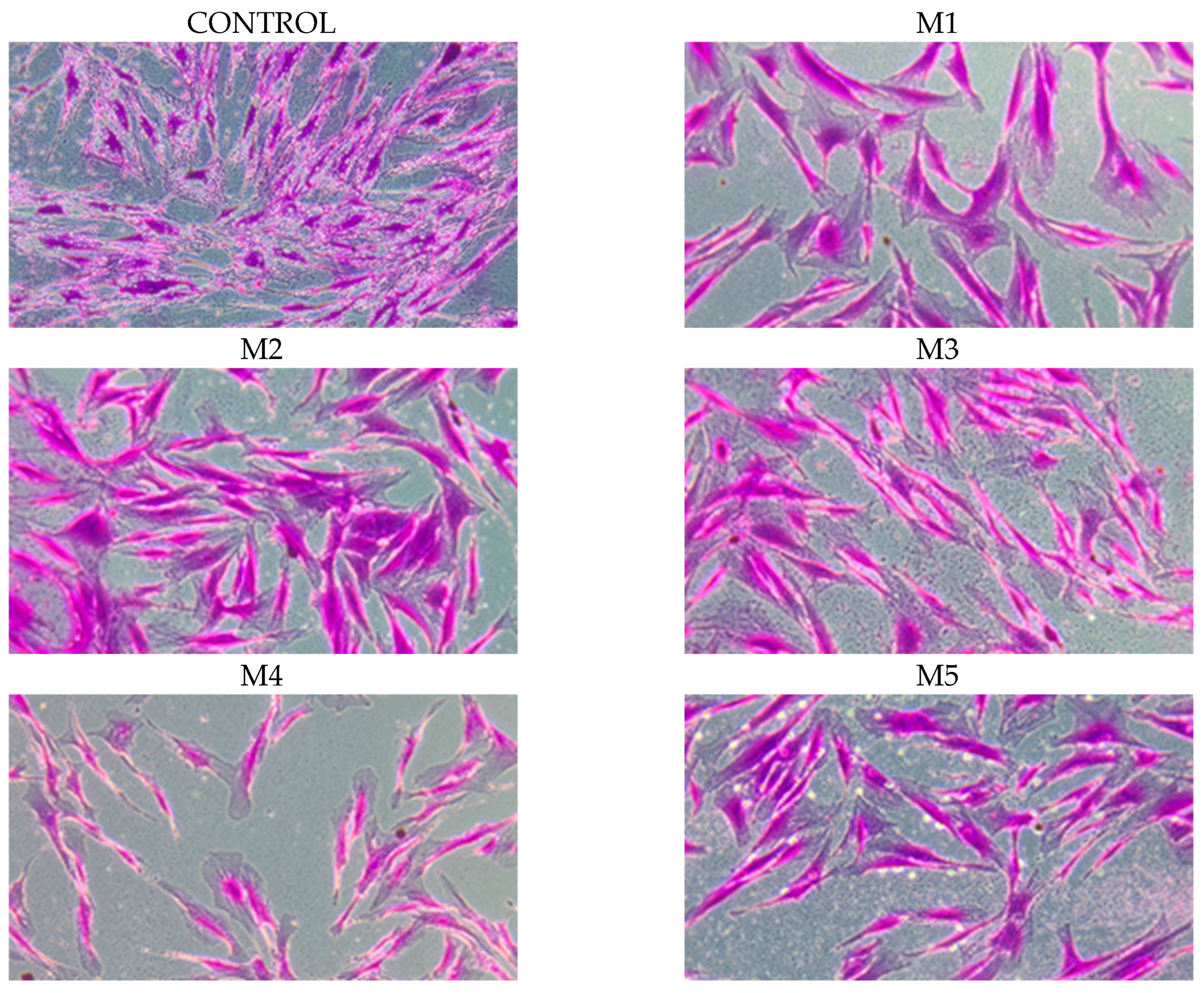 Molecules 30 04579 g005