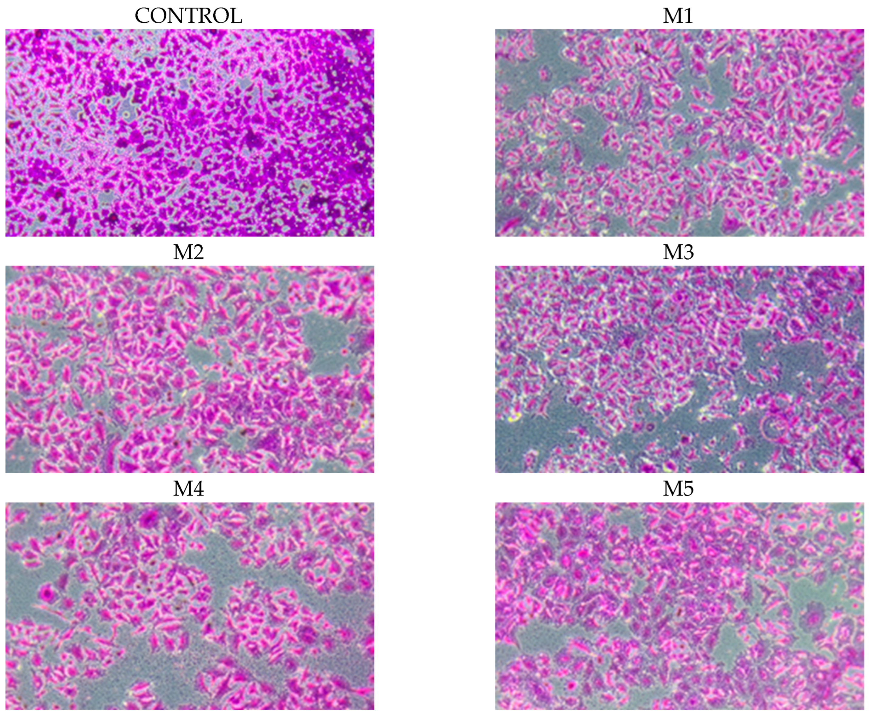 Molecules 30 04579 g009