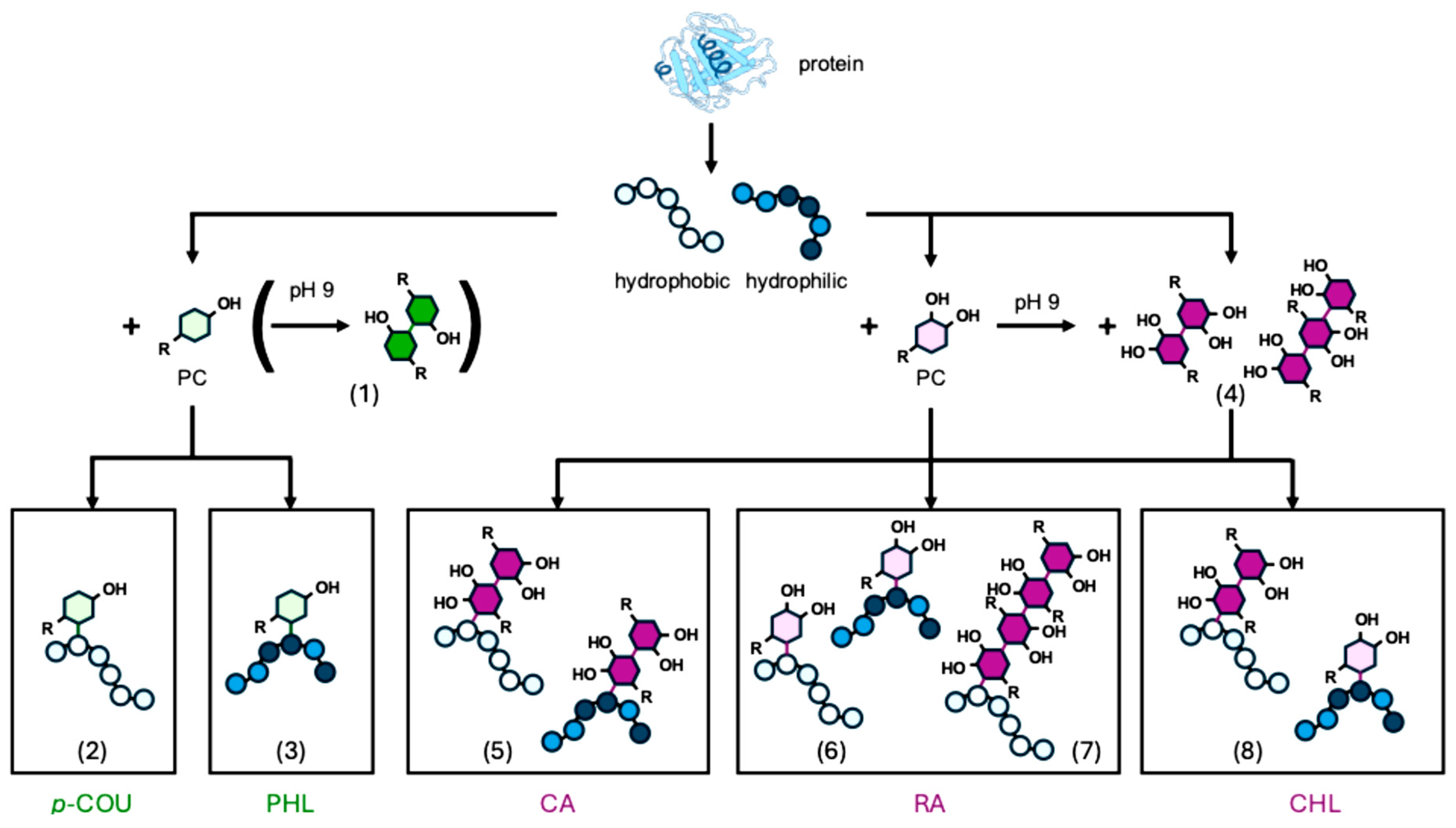 Molecules 30 04584 g003